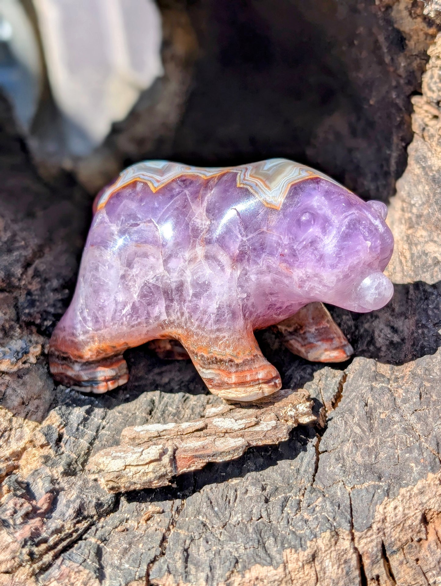 Chevron Amethyst & Agate Bear Carving With Amazing Druzy and Banding!