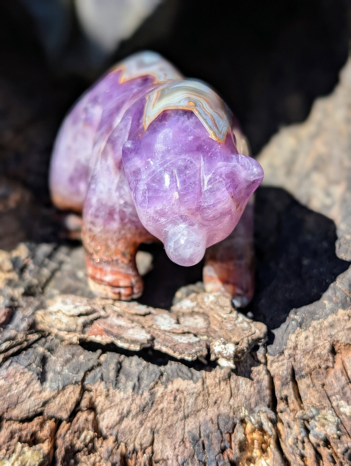 Chevron Amethyst & Agate Bear Carving With Amazing Druzy and Banding!