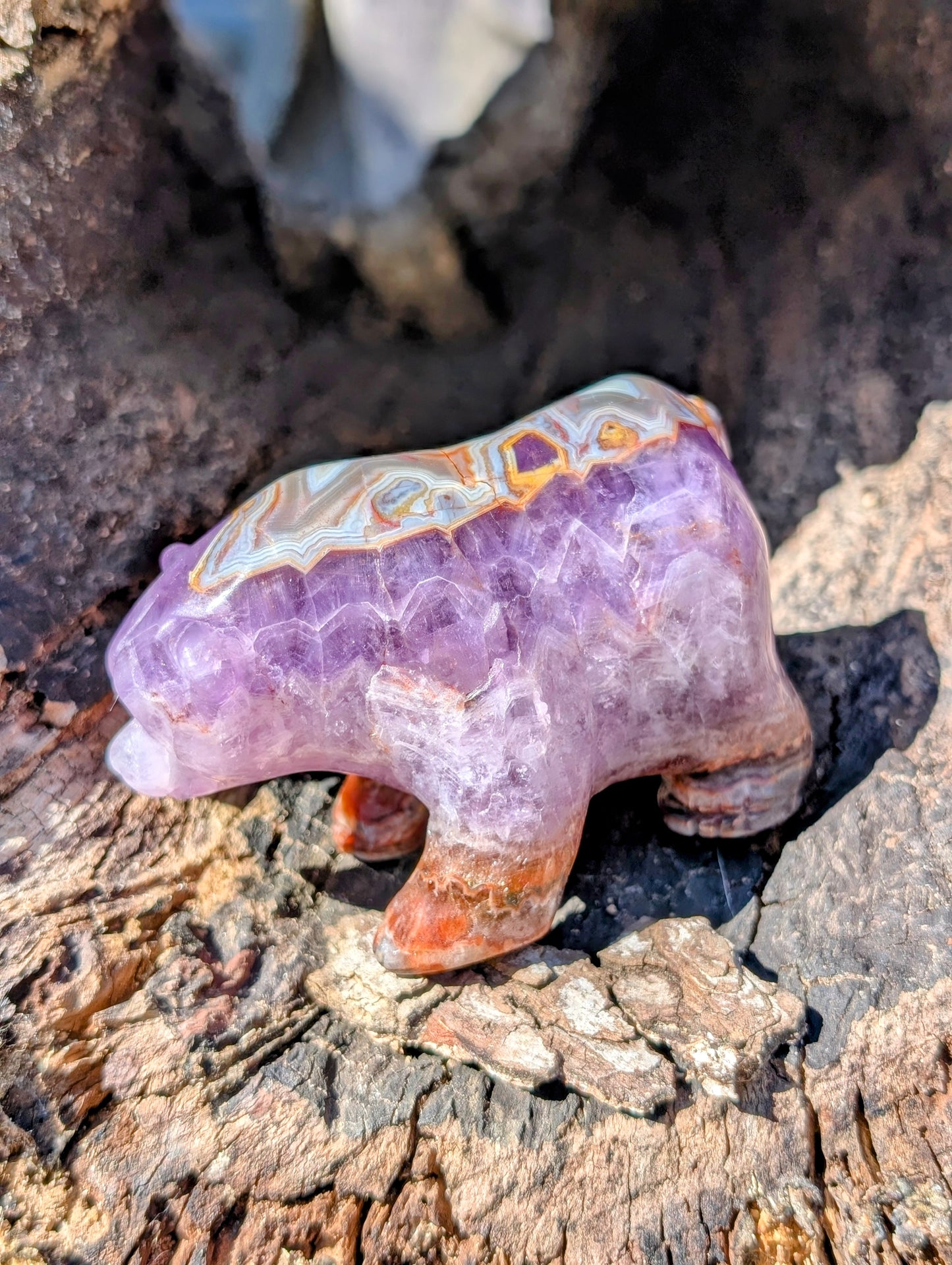 Chevron Amethyst & Agate Bear Carving With Amazing Druzy and Banding!