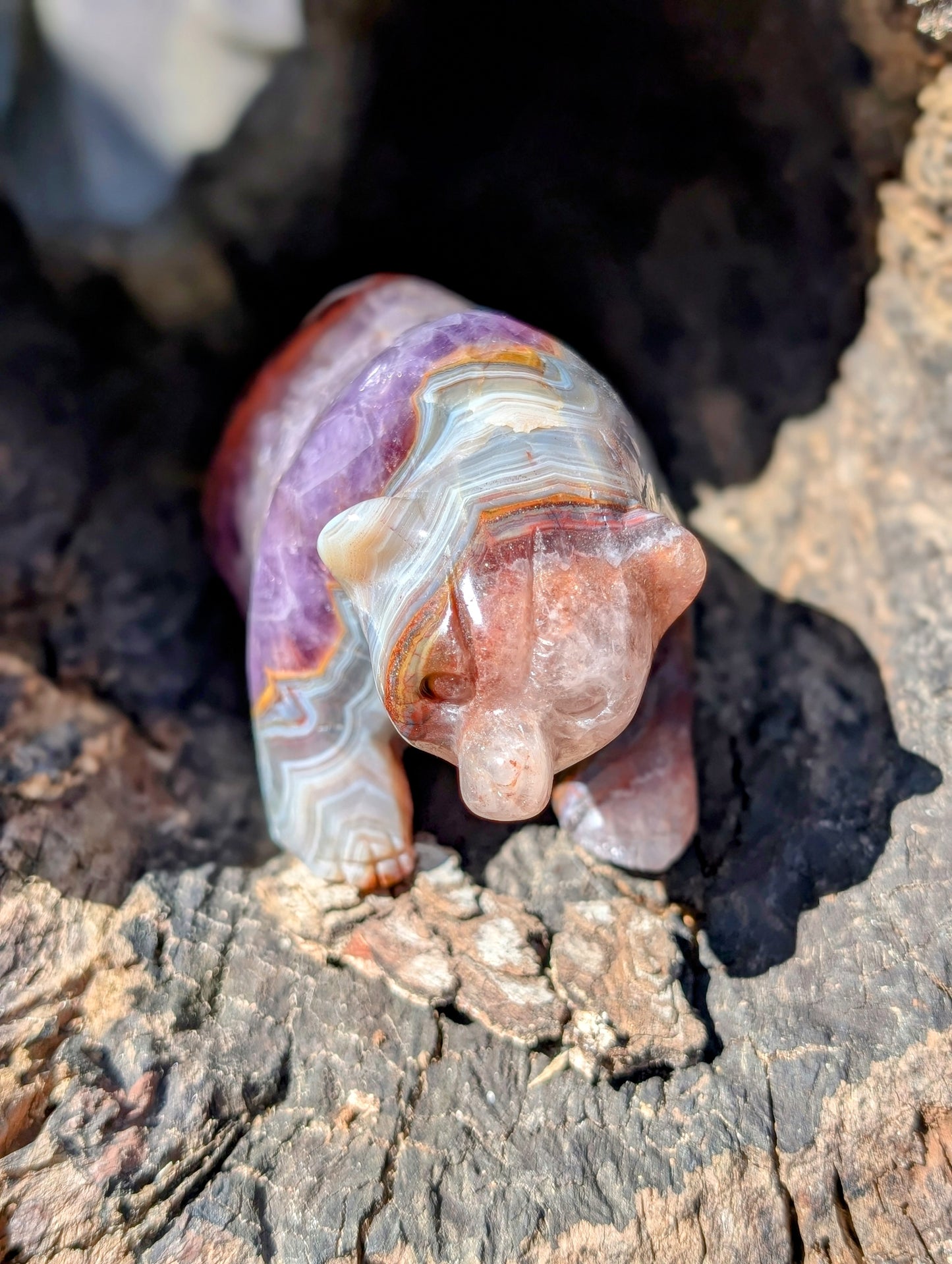 Chevron Amethyst & Agate Bear Carving With Amazing Druzy and Banding!