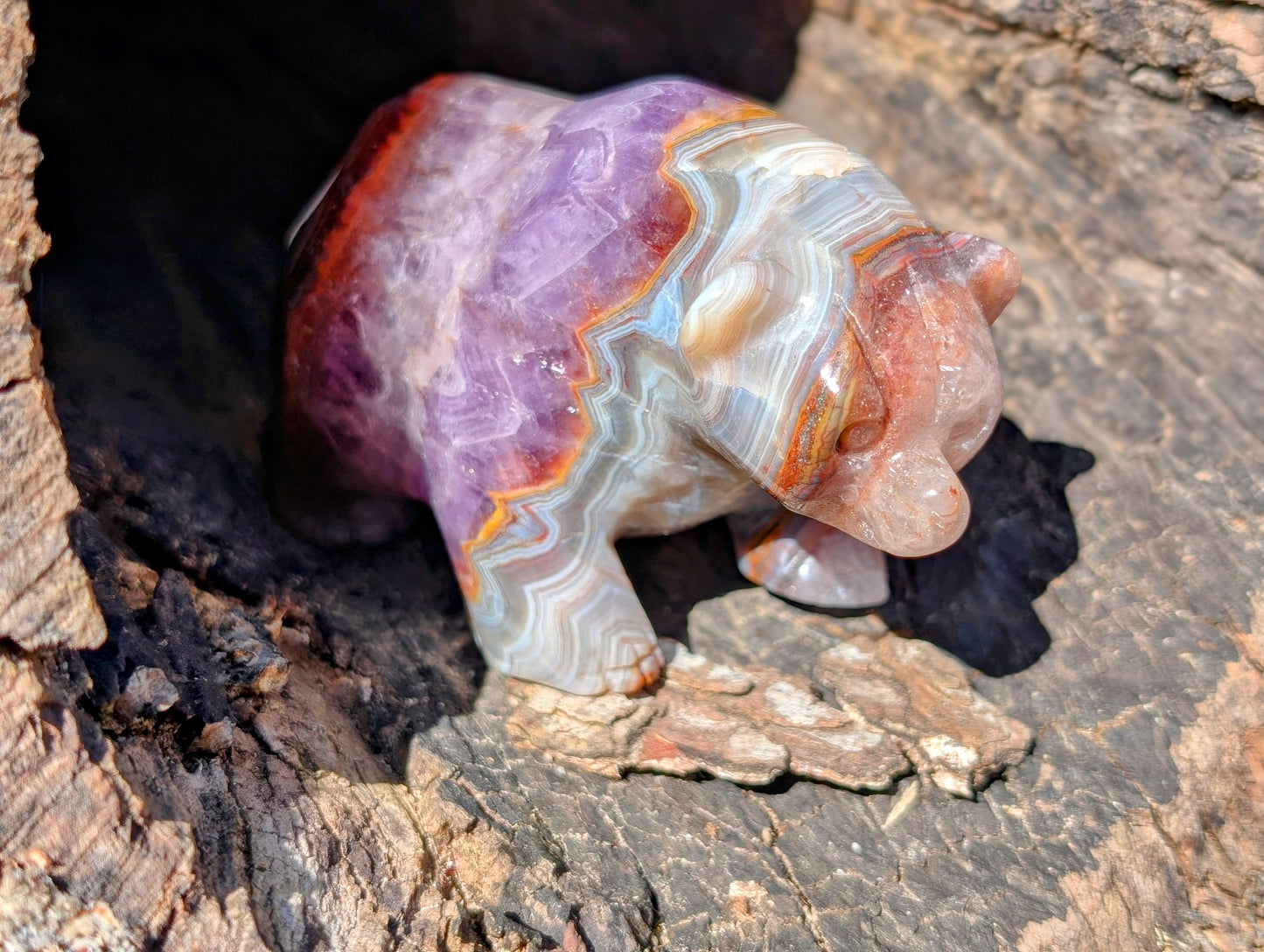 Chevron Amethyst & Agate Bear Carving With Amazing Druzy and Banding!