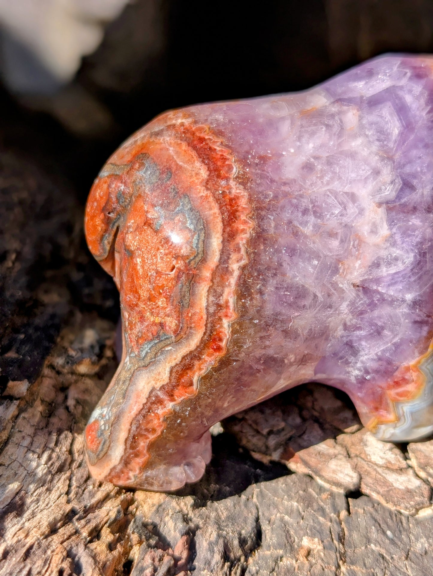 Chevron Amethyst & Agate Bear Carving With Amazing Druzy and Banding!