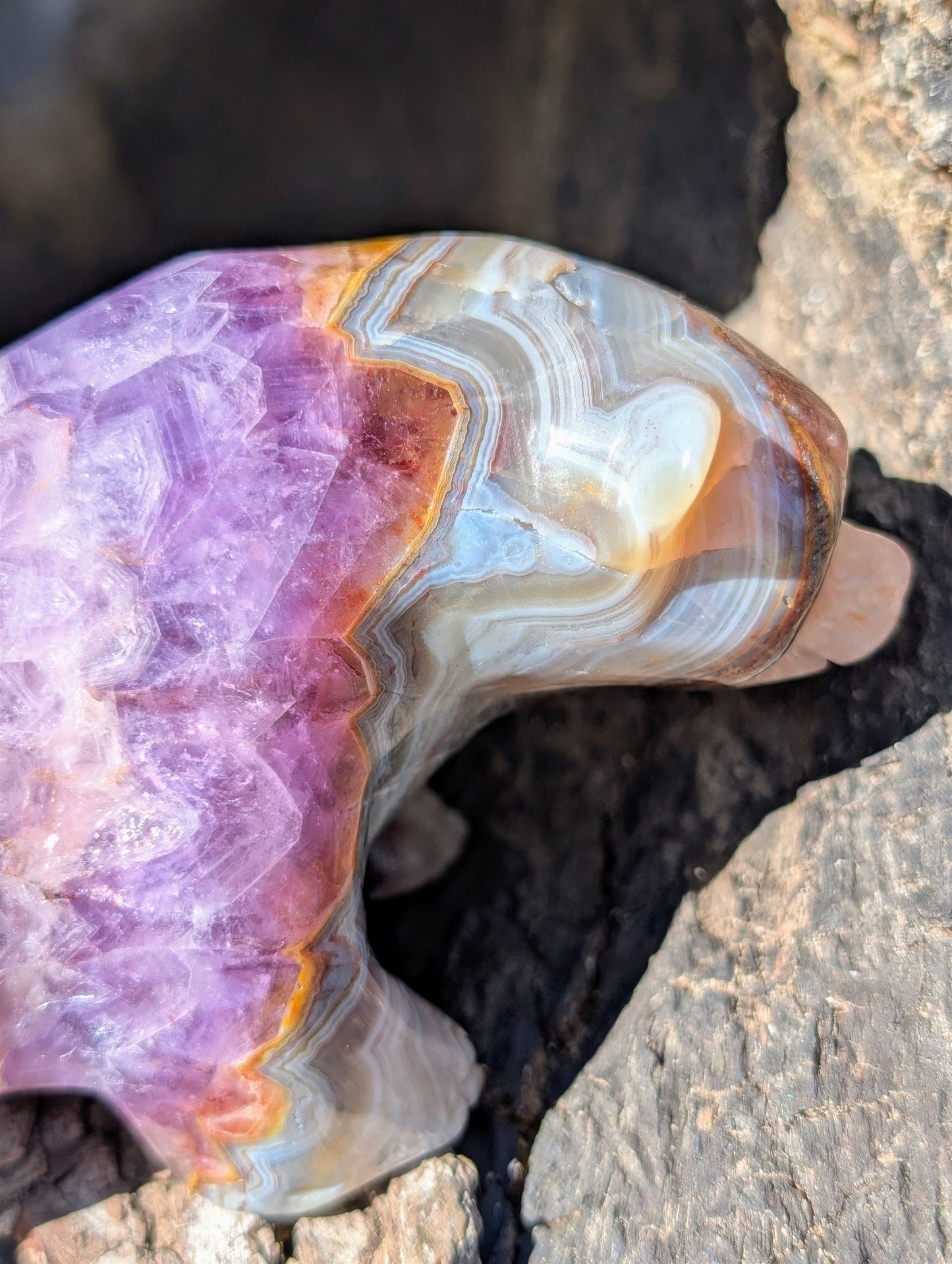 Chevron Amethyst & Agate Bear Carving With Amazing Druzy and Banding!