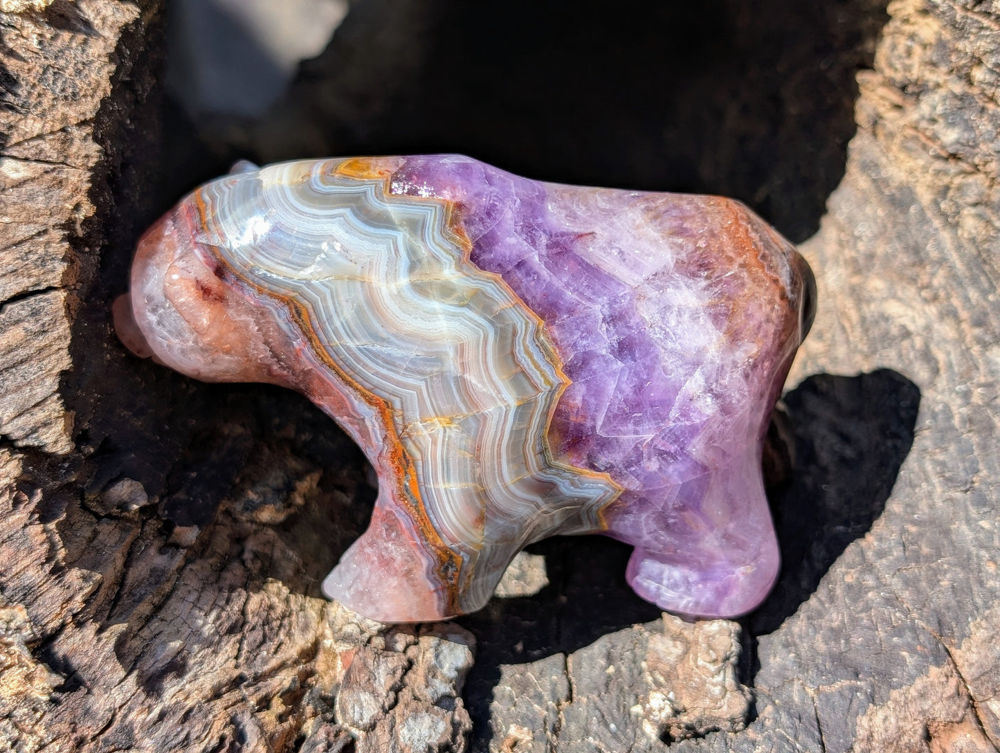 Chevron Amethyst & Agate Bear Carving With Amazing Druzy and Banding!