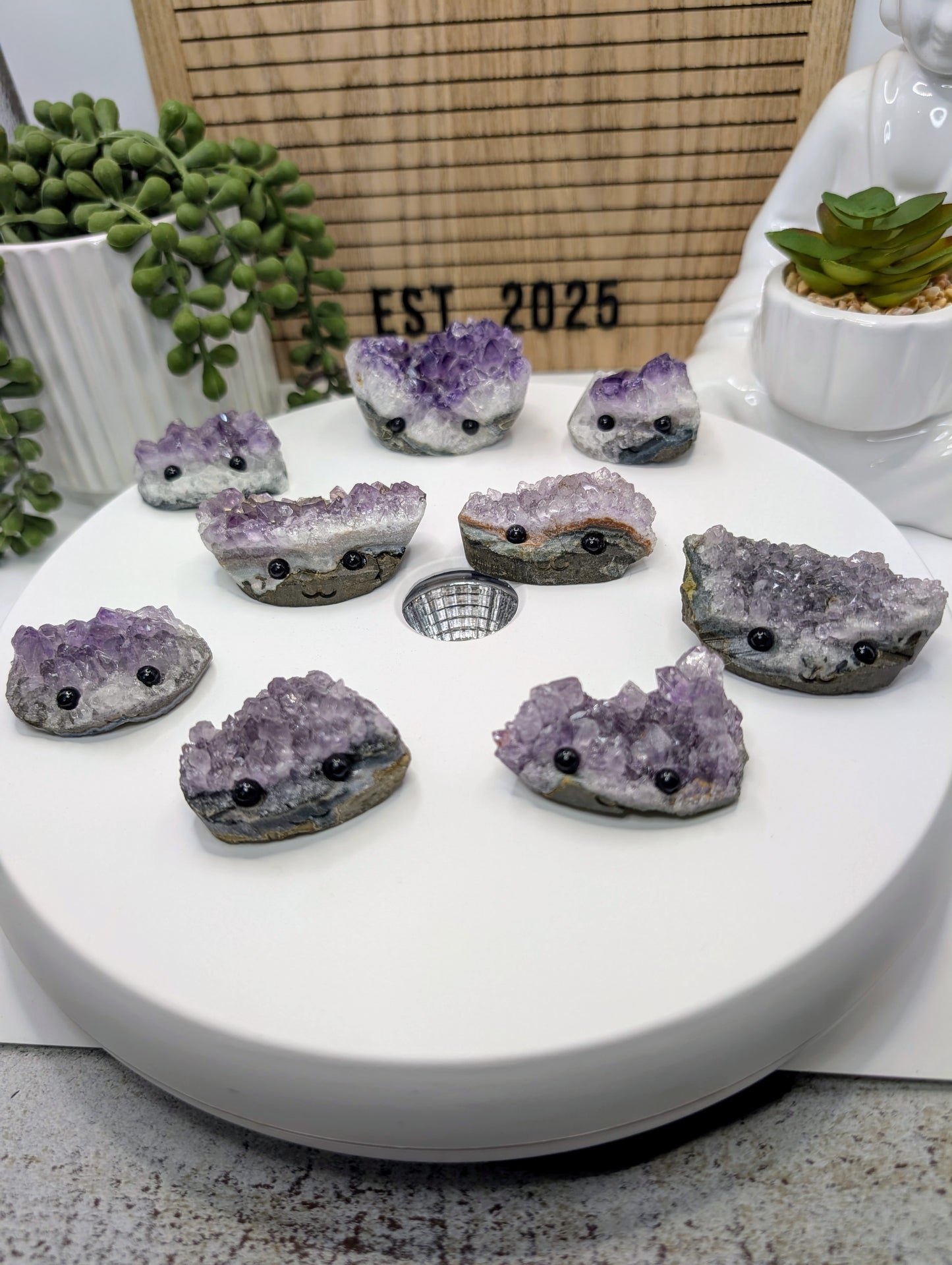 Amethyst Cluster Rock Buddies aka Hedgehogs - Up For Adoption!