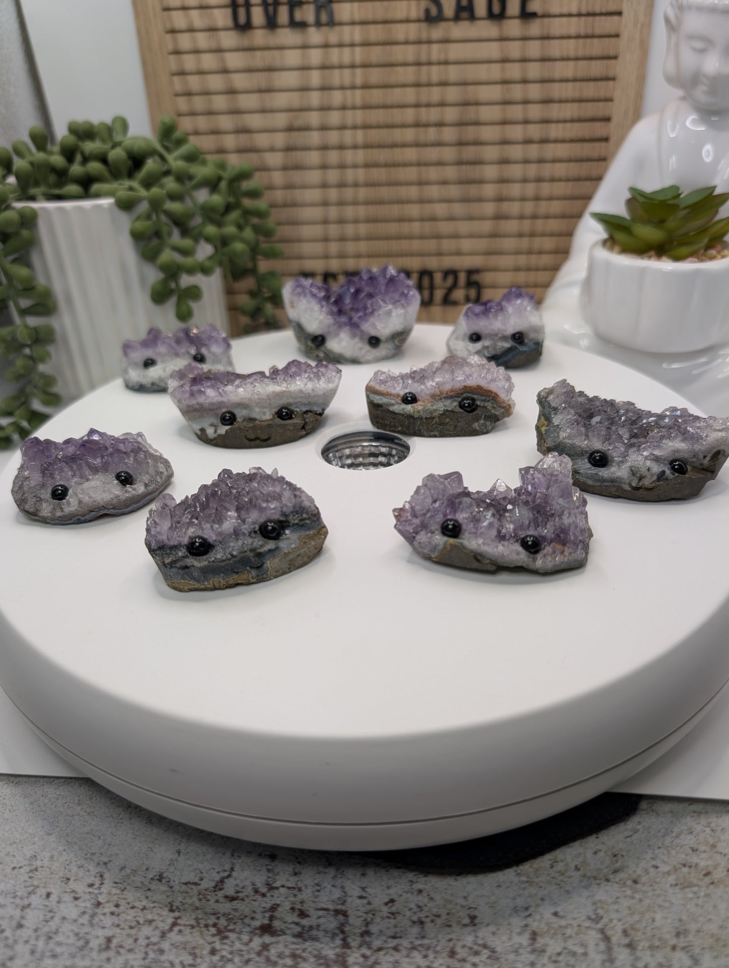 Amethyst Cluster Rock Buddies aka Hedgehogs - Up For Adoption!