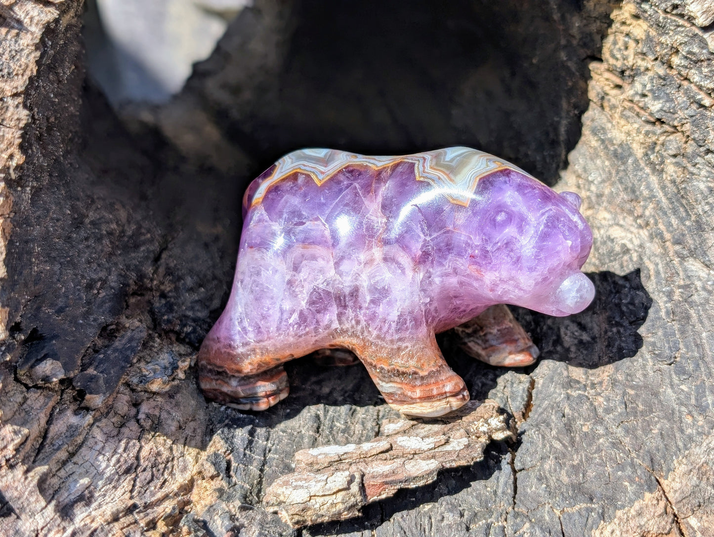 Chevron Amethyst & Agate Bear Carving With Amazing Druzy and Banding!