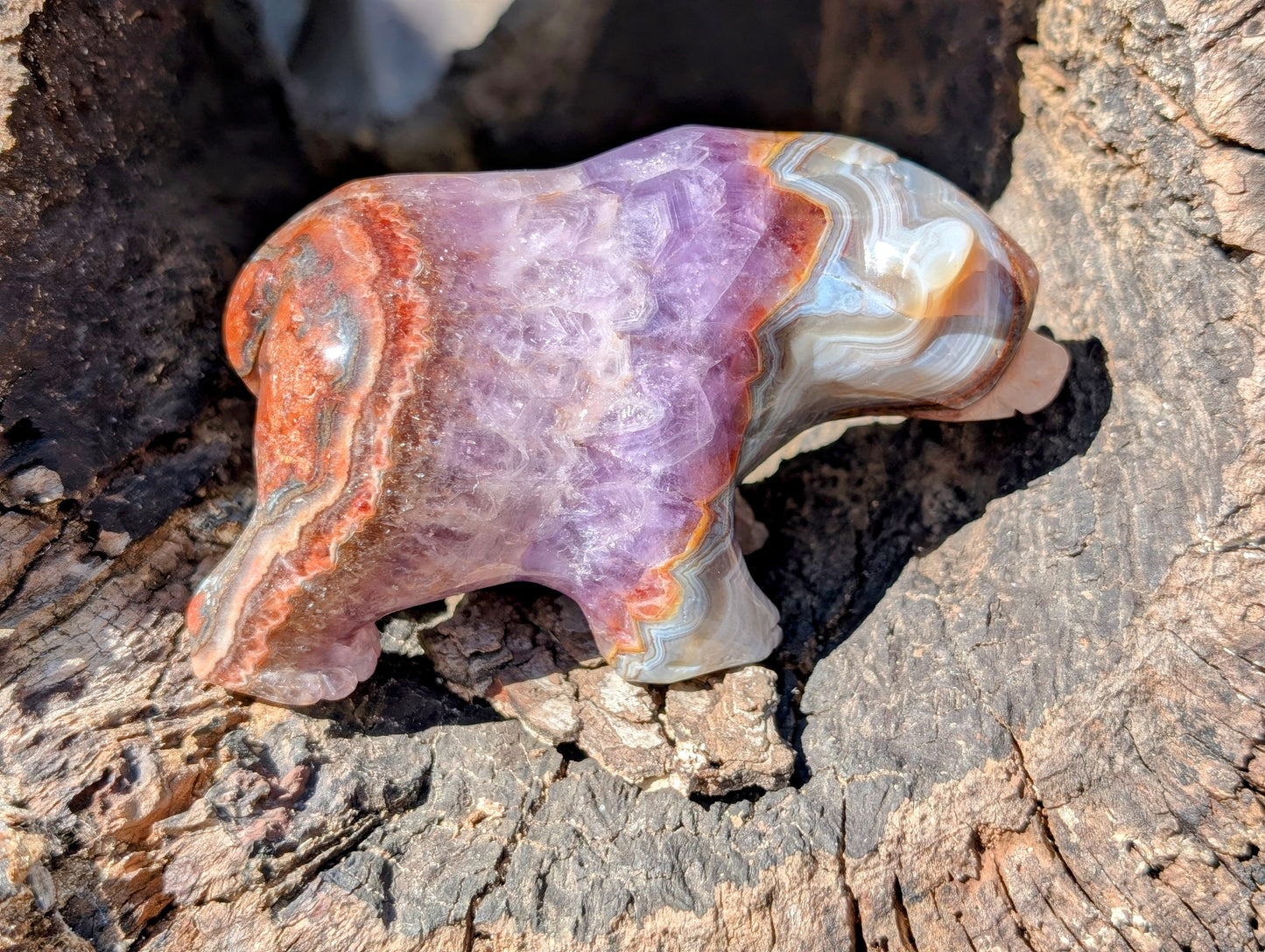 Chevron Amethyst & Agate Bear Carving With Amazing Druzy and Banding!