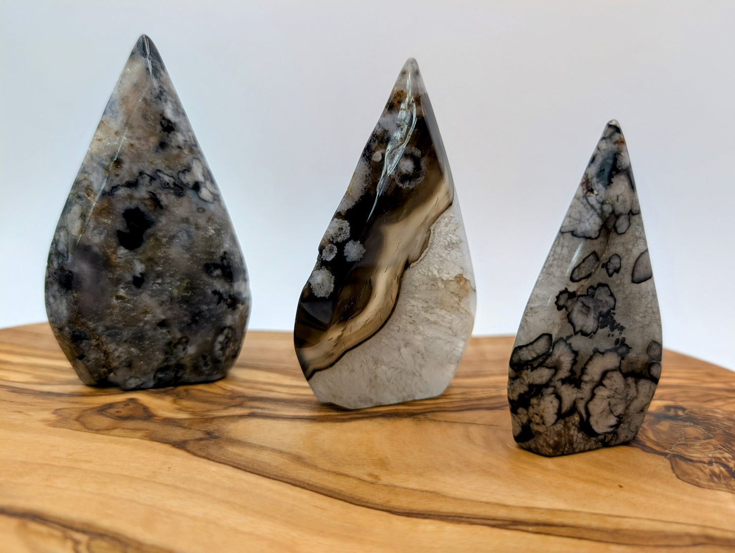 Black Flower Agate Free Form