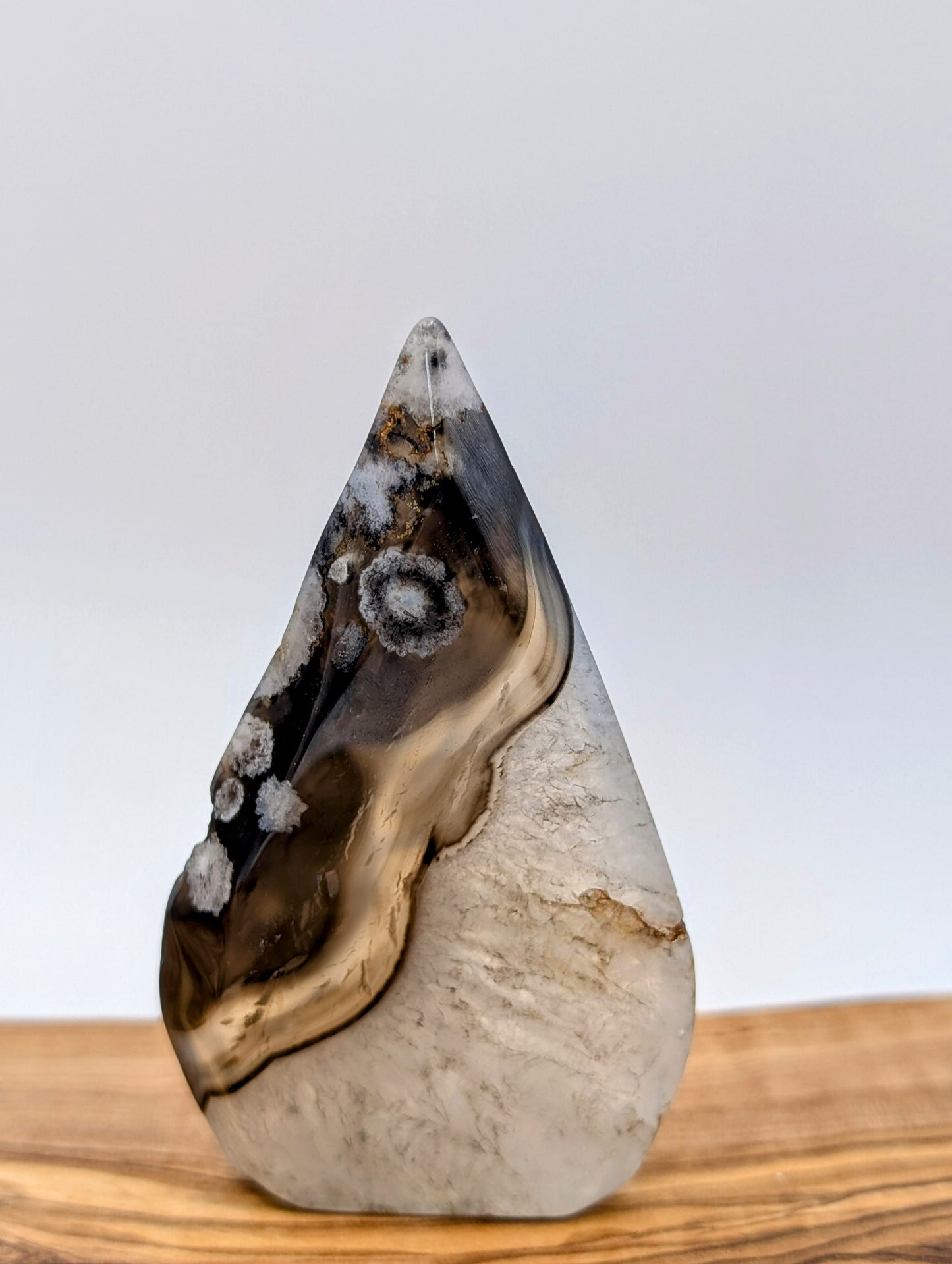 Black Flower Agate Free Form