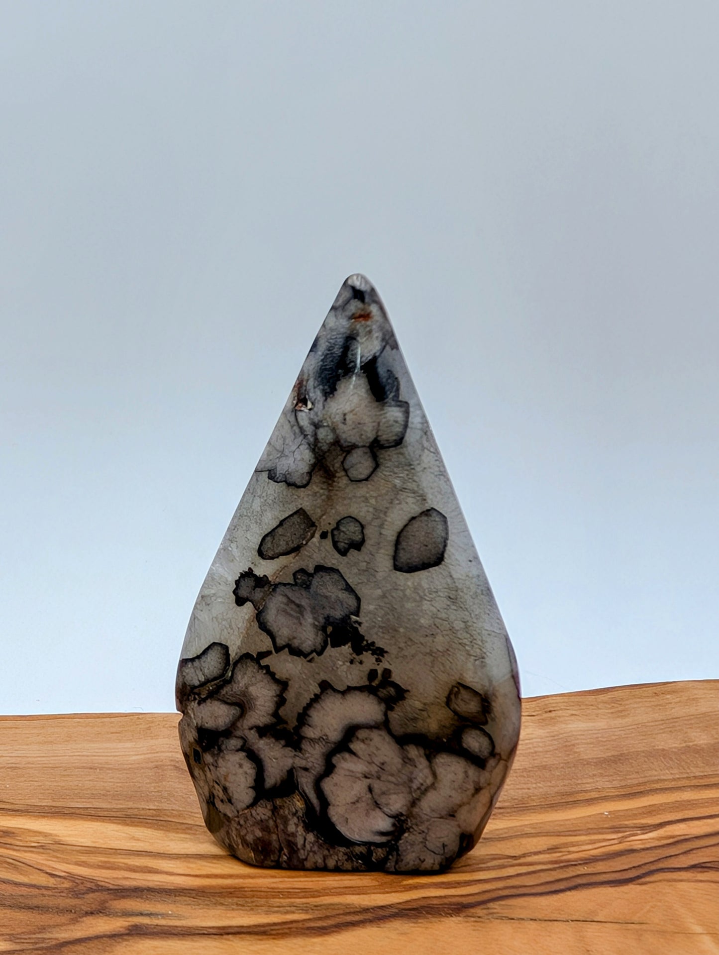 Black Flower Agate Free Form