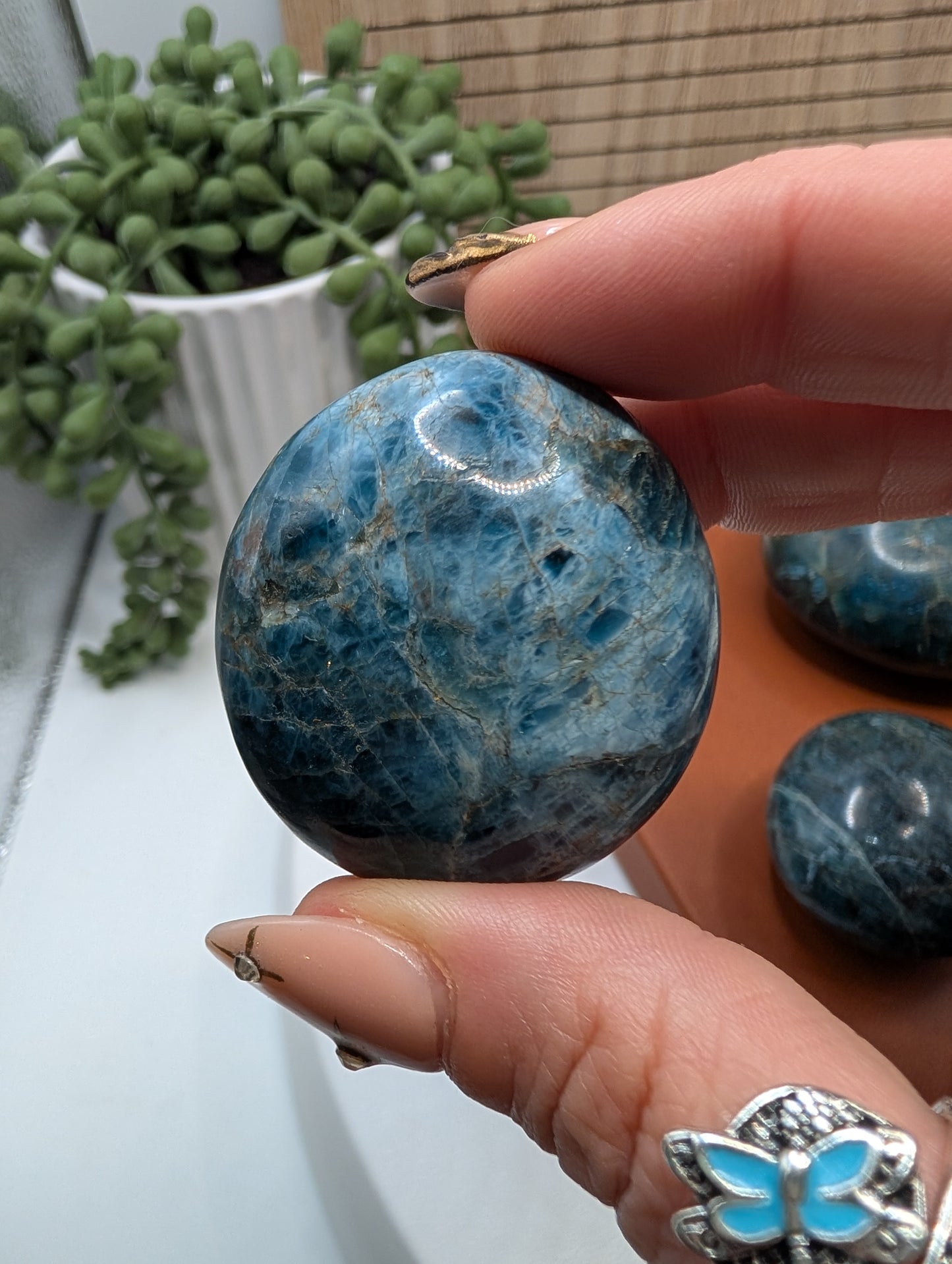 Blue Apatite Palm Stones - Mid Grade Stones at Great Prices!
