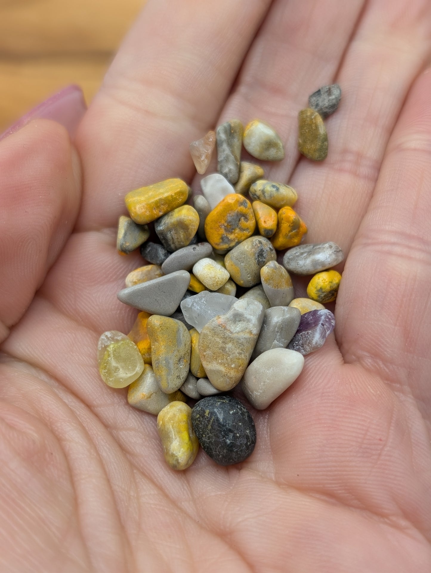 Bumblebee Jasper Chips