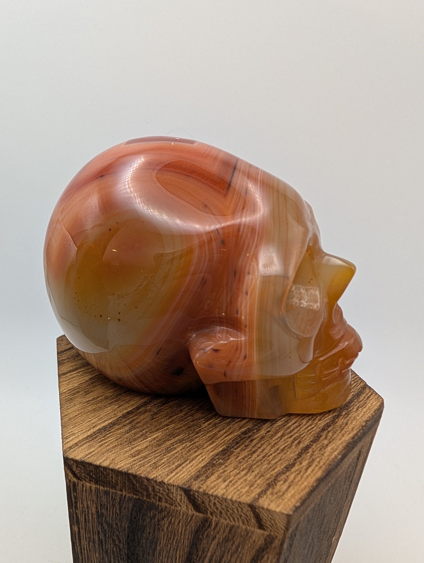 Carnelian Crystal Skulls in deep reds/oranges.