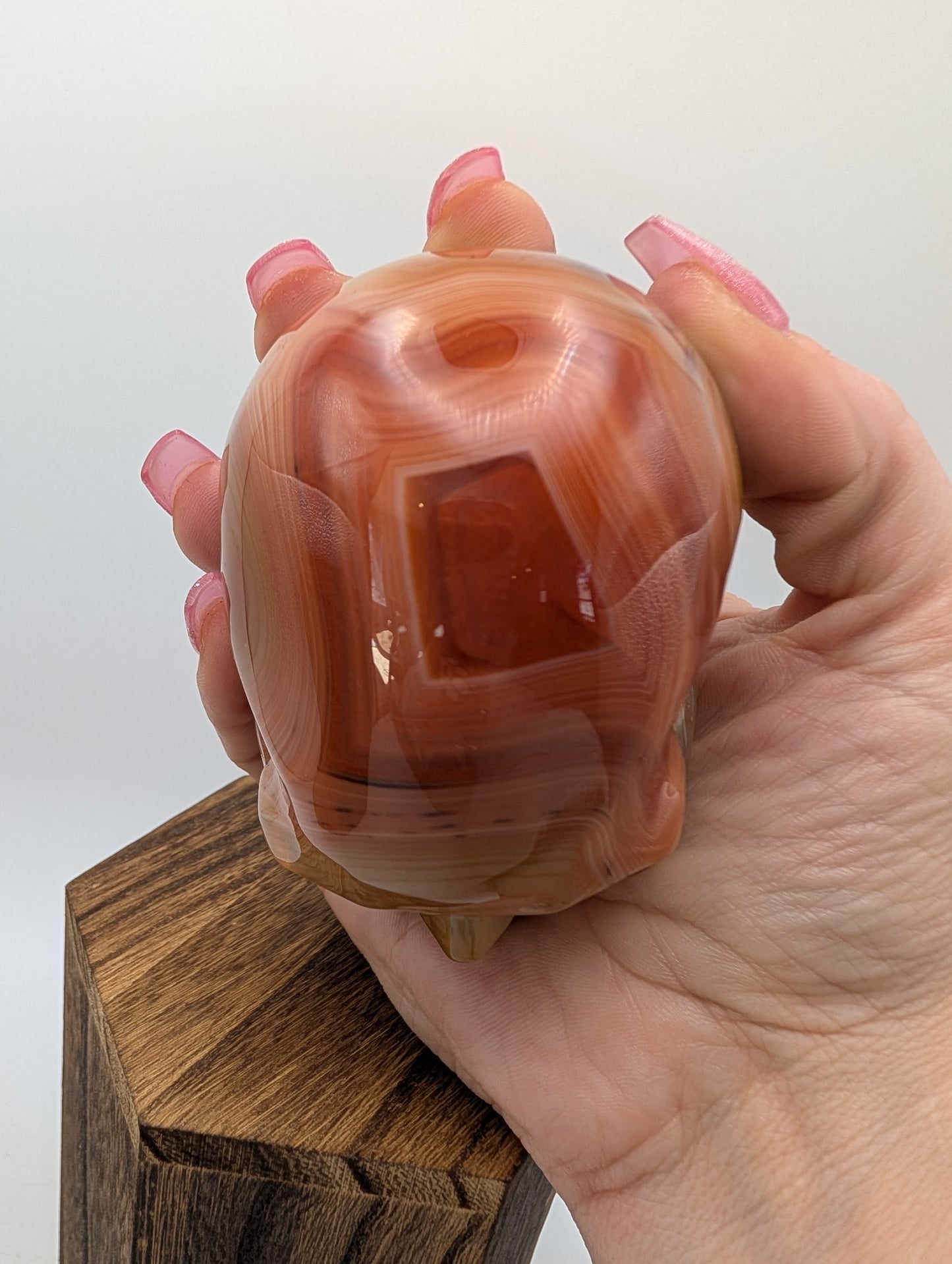 Carnelian Crystal Skulls in deep reds/oranges.