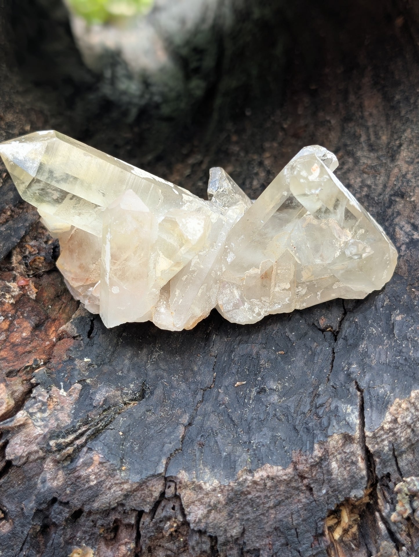 Natural Raw Untreated Citrine Cluster - Mid Grade