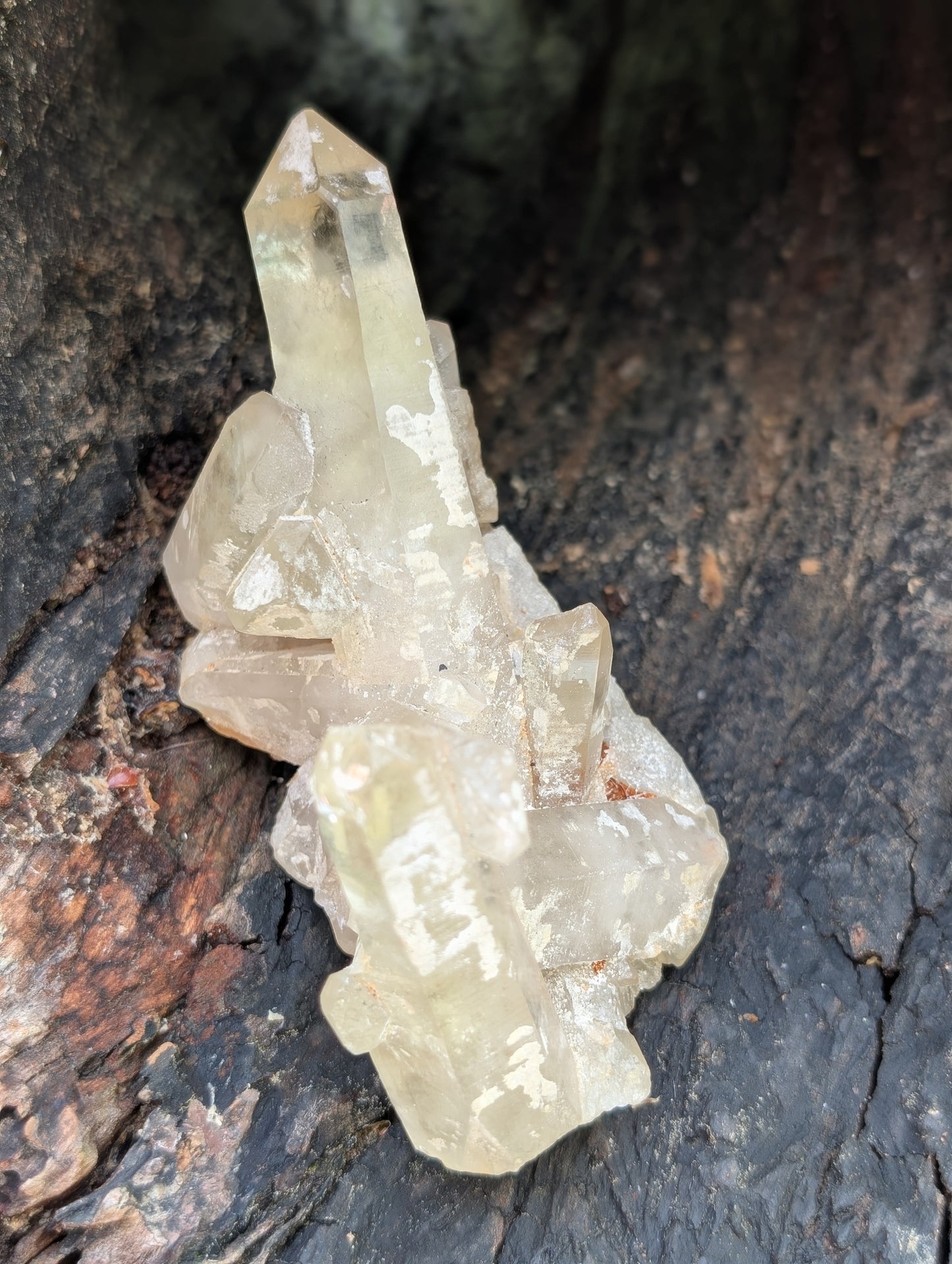 Natural Raw Untreated Citrine Cluster - Mid Grade