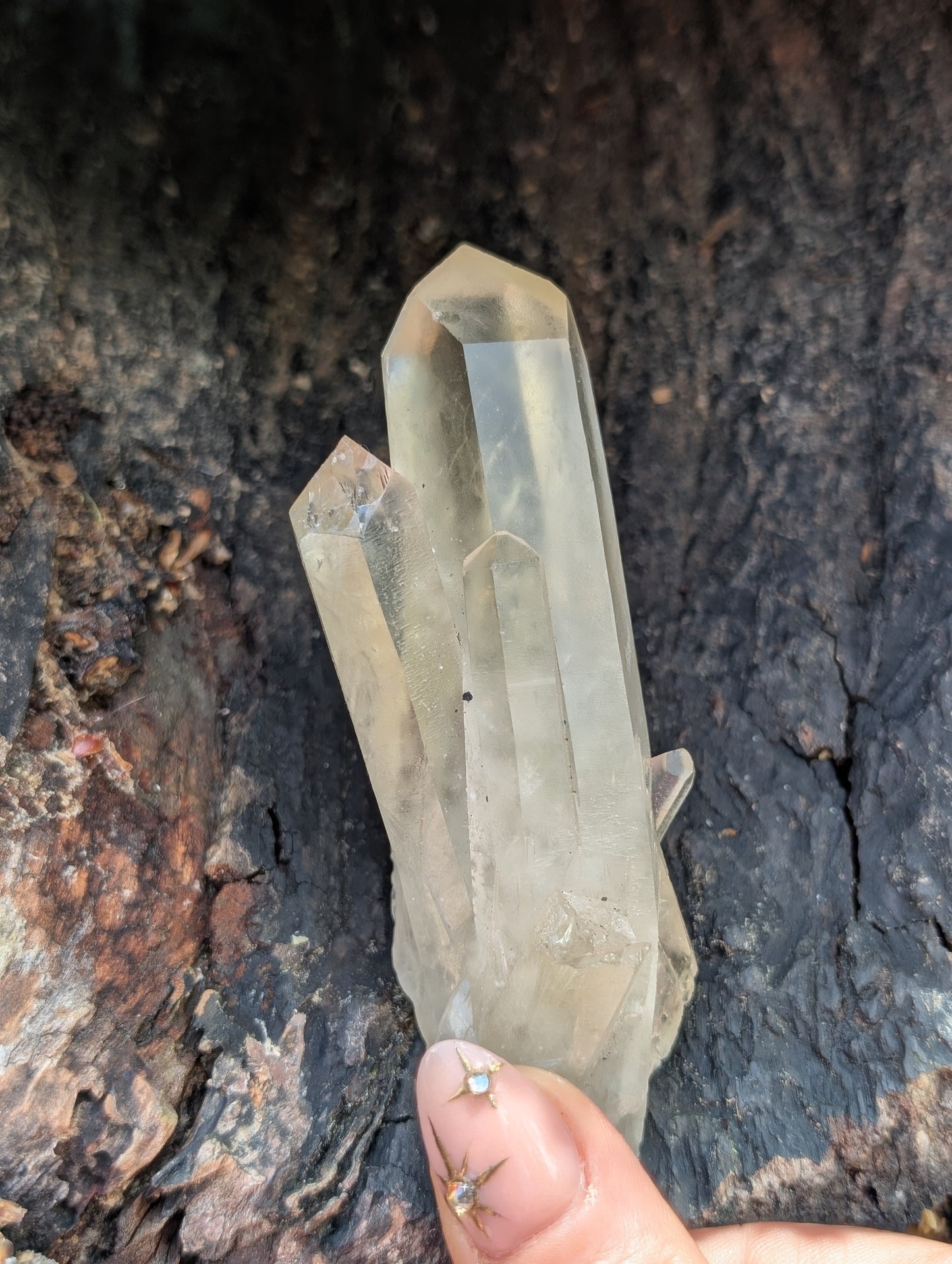 Natural Raw Untreated Citrine Cluster - Mid Grade