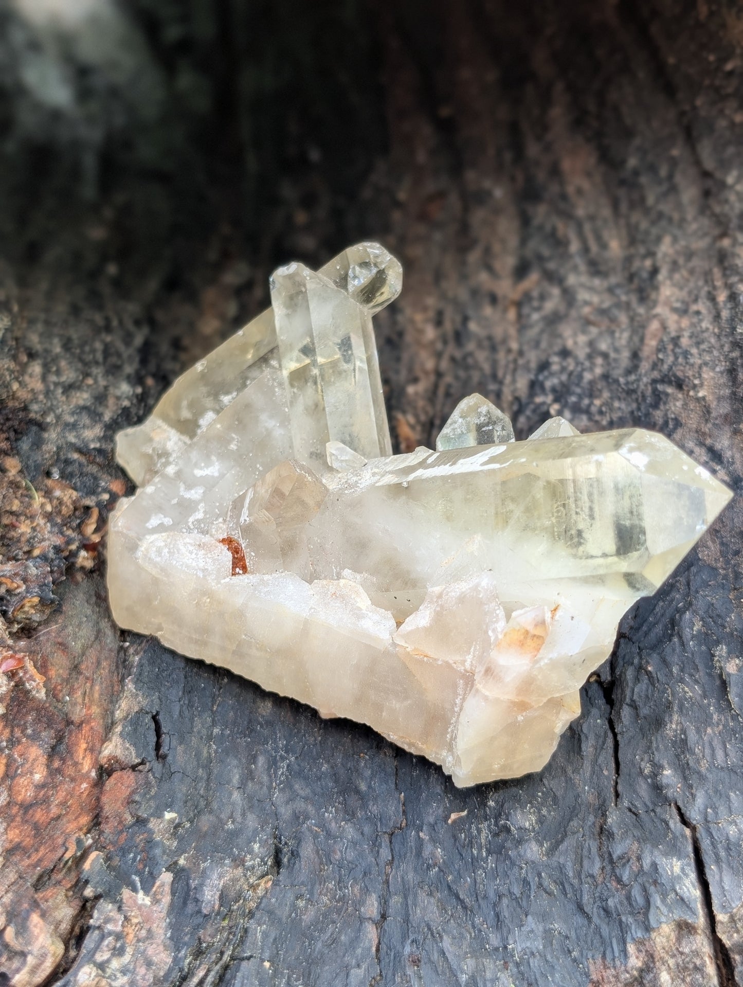 Natural Raw Untreated Citrine Cluster - Mid Grade