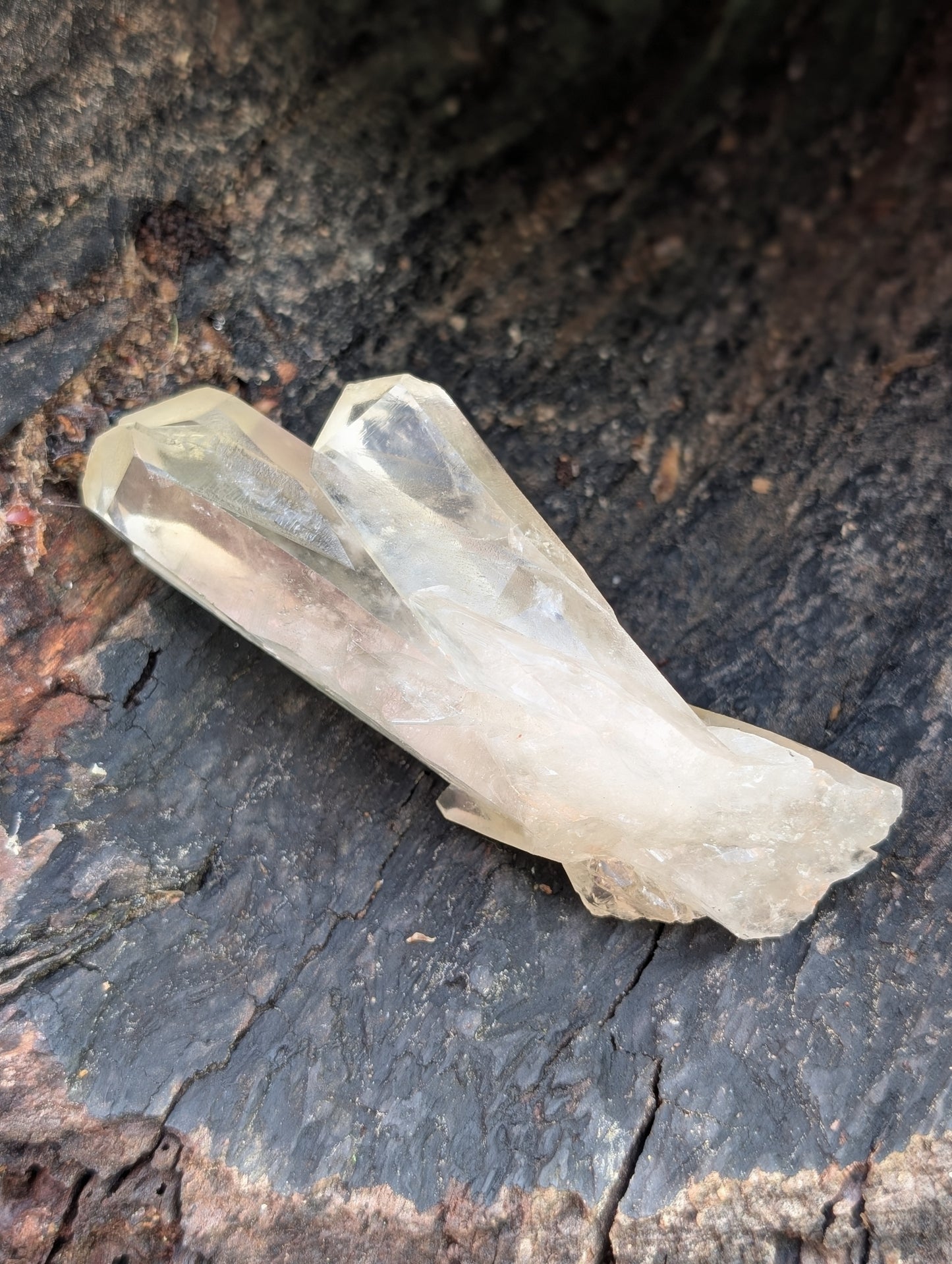 Natural Raw Untreated Citrine Cluster - Mid Grade