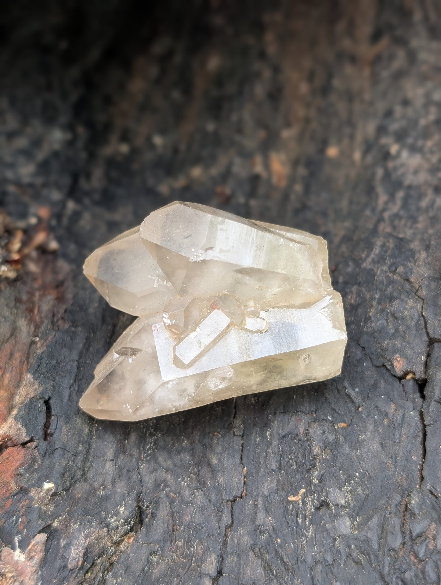 Natural Raw Untreated Citrine Cluster - Mid Grade