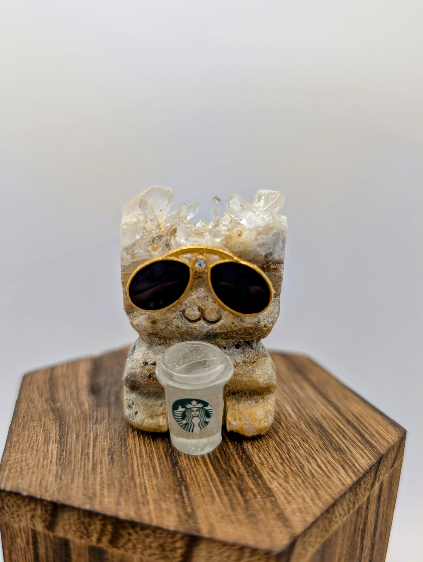 Crystal Hedgehogs Rock Buddies with Starbucks!!