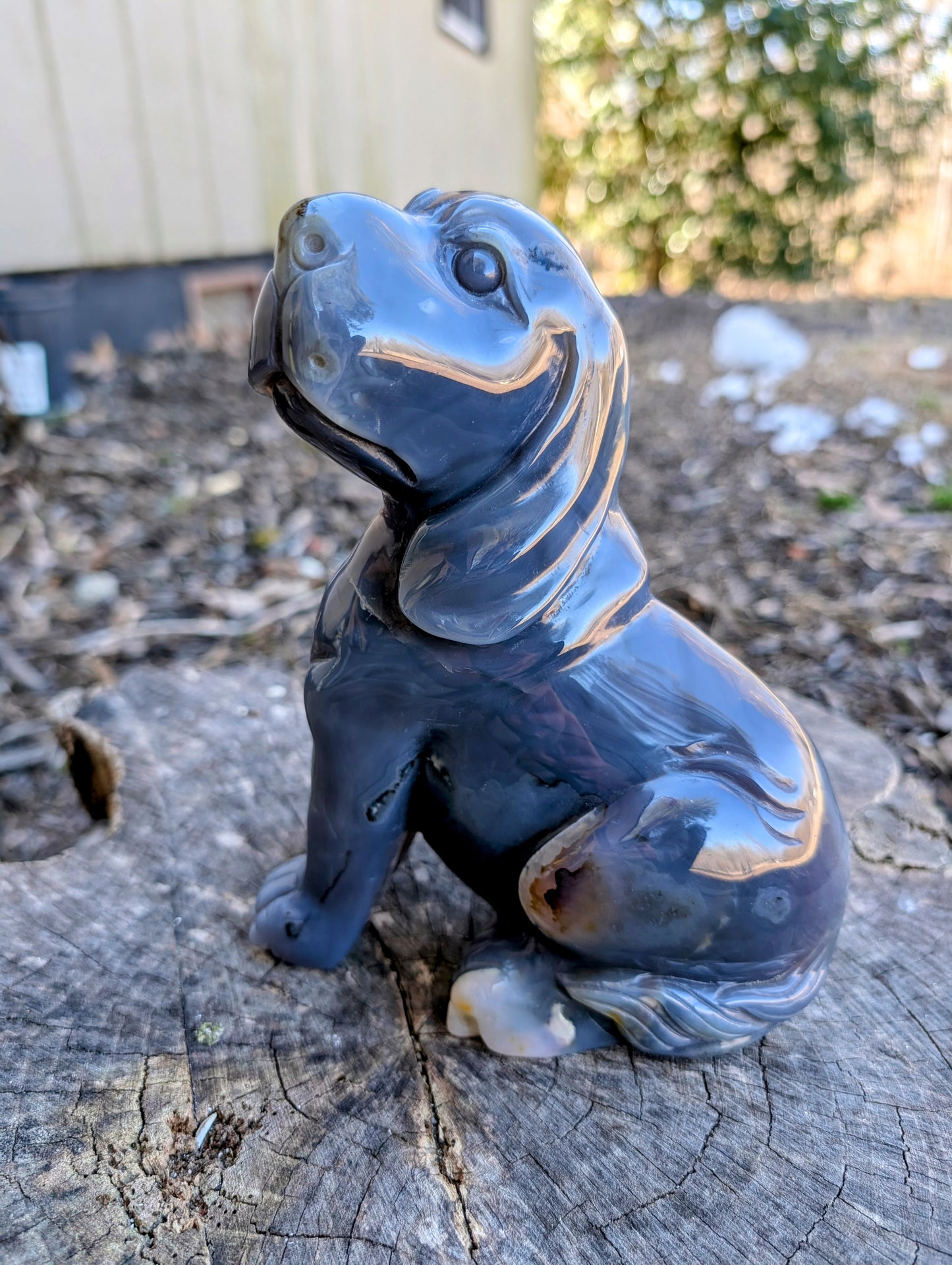 Gorgeous Blue/Gray Druzy Agate Hound Dog Carving with Stunning Quartz Crystals!