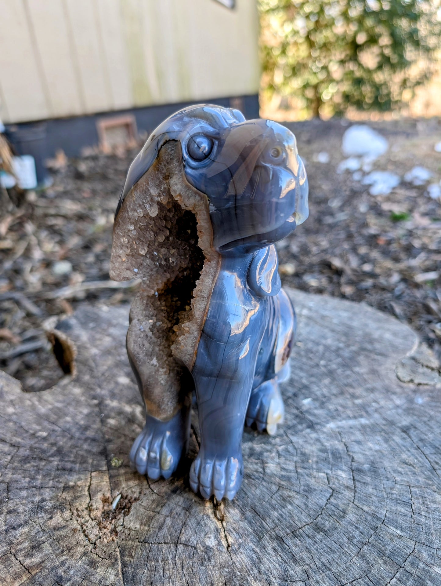 Gorgeous Blue/Gray Druzy Agate Hound Dog Carving with Stunning Quartz Crystals!