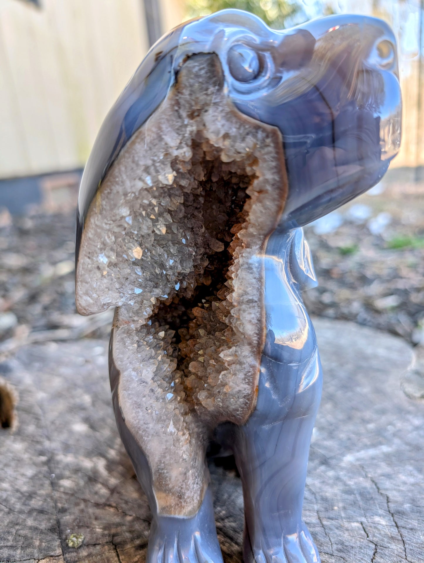 Gorgeous Blue/Gray Druzy Agate Hound Dog Carving with Stunning Quartz Crystals!