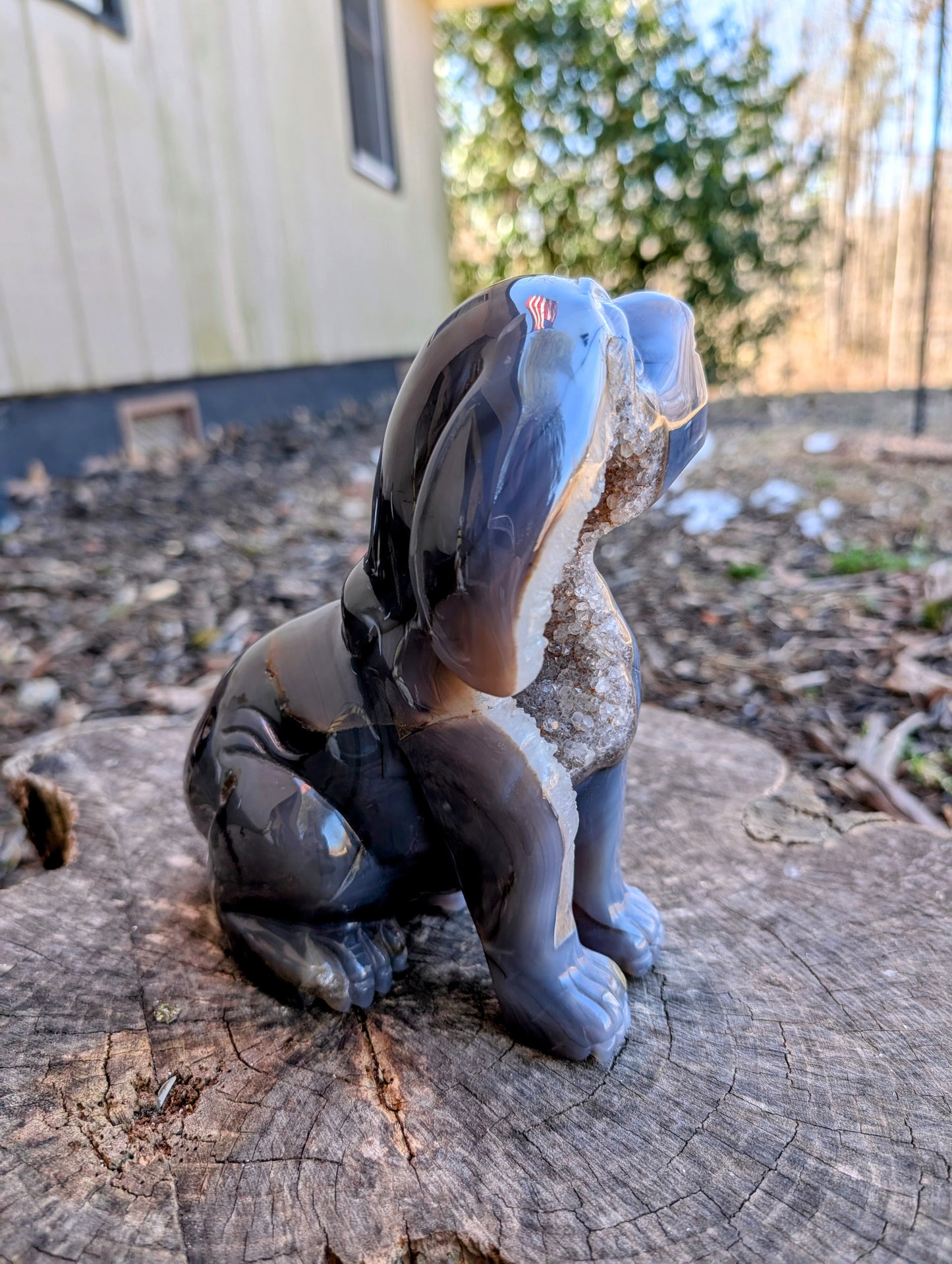 Gorgeous Blue/Gray Druzy Agate Hound Dog Carving with Stunning Quartz Crystals!