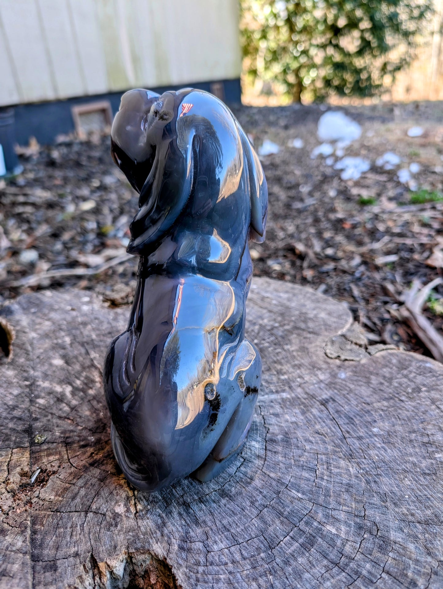 Gorgeous Blue/Gray Druzy Agate Hound Dog Carving with Stunning Quartz Crystals!