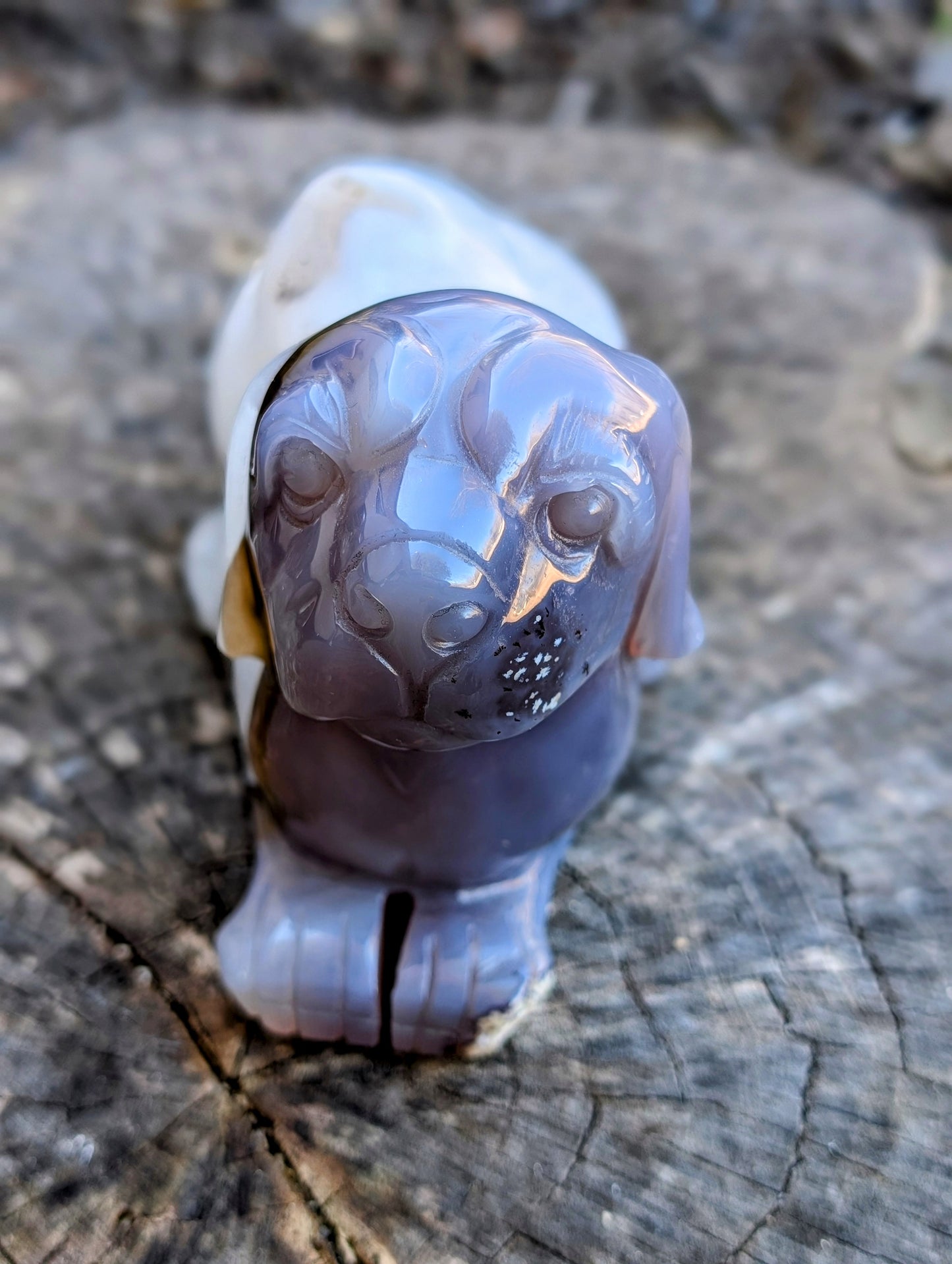 Beautiful Druzy Agate & Quartz Dog Carving - Laying Down
