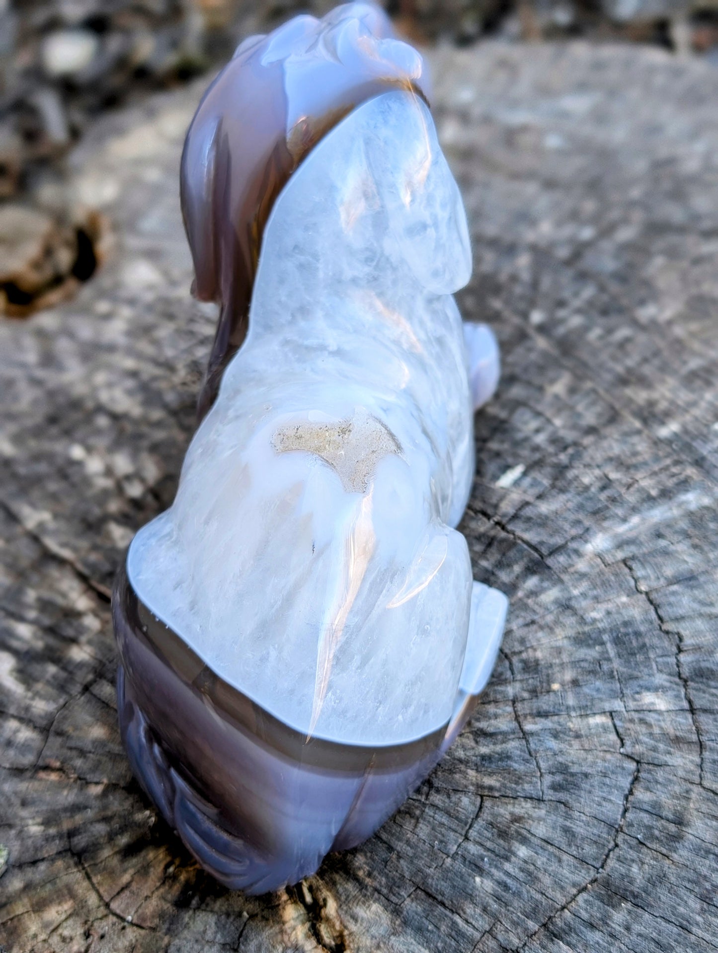 Beautiful Druzy Agate & Quartz Dog Carving - Laying Down