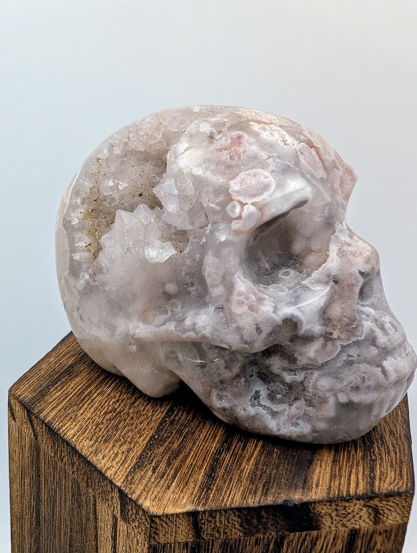 Open Druzy Flower Agate Crystal Skull with sparkling quartz crystals