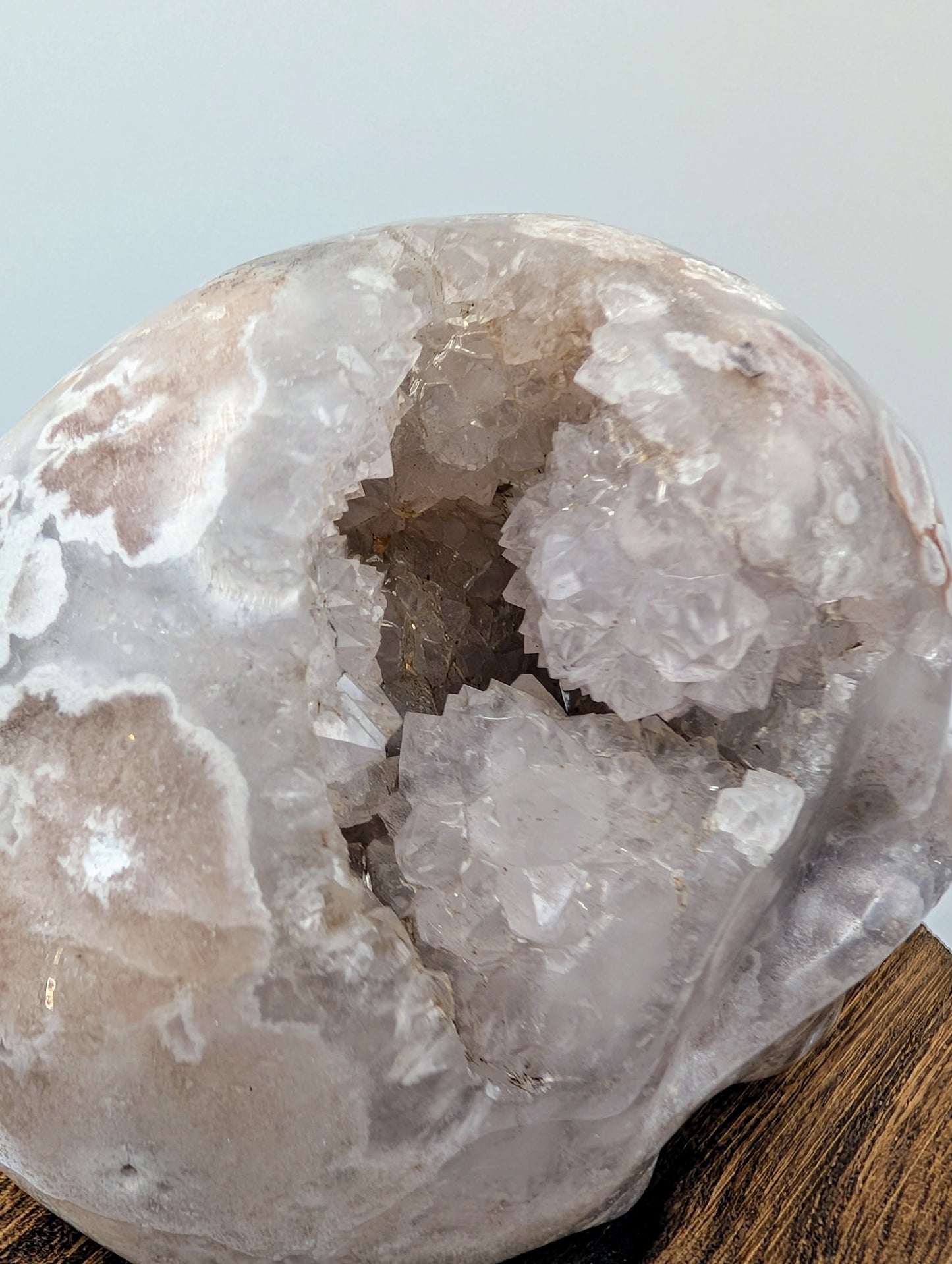 Open Druzy Flower Agate Crystal Skull with sparkling quartz crystals