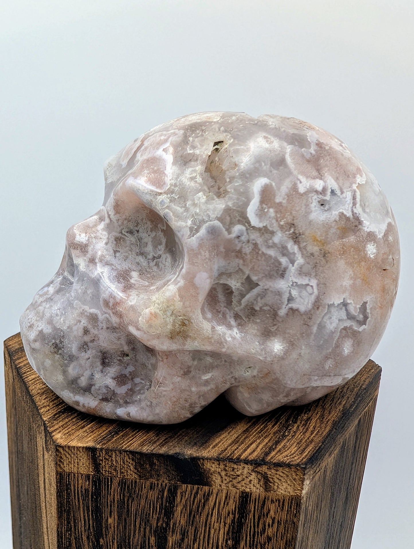 Open Druzy Flower Agate Crystal Skull with sparkling quartz crystals