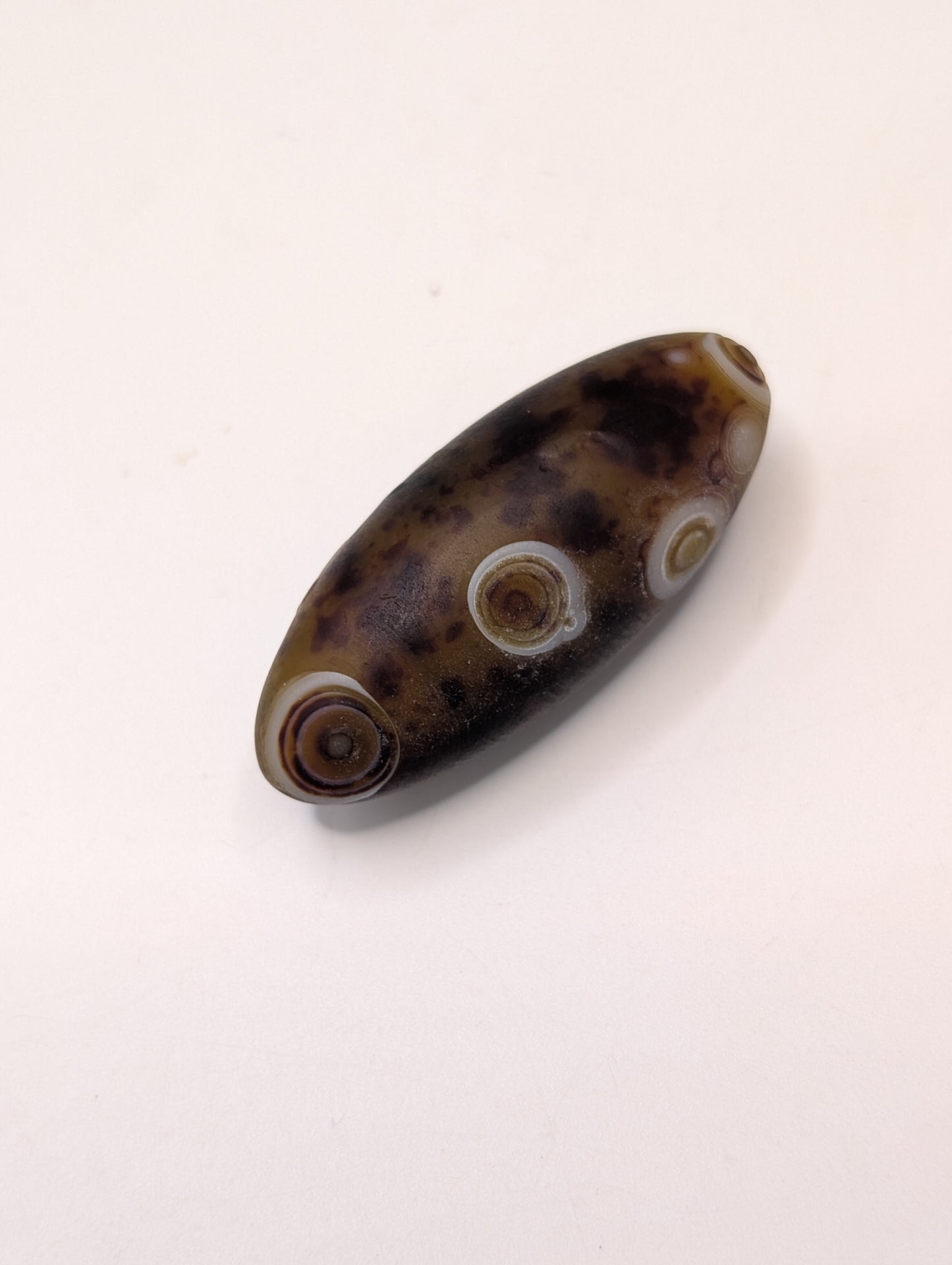 Gobi Agate Shiva's & Palms - Batch A