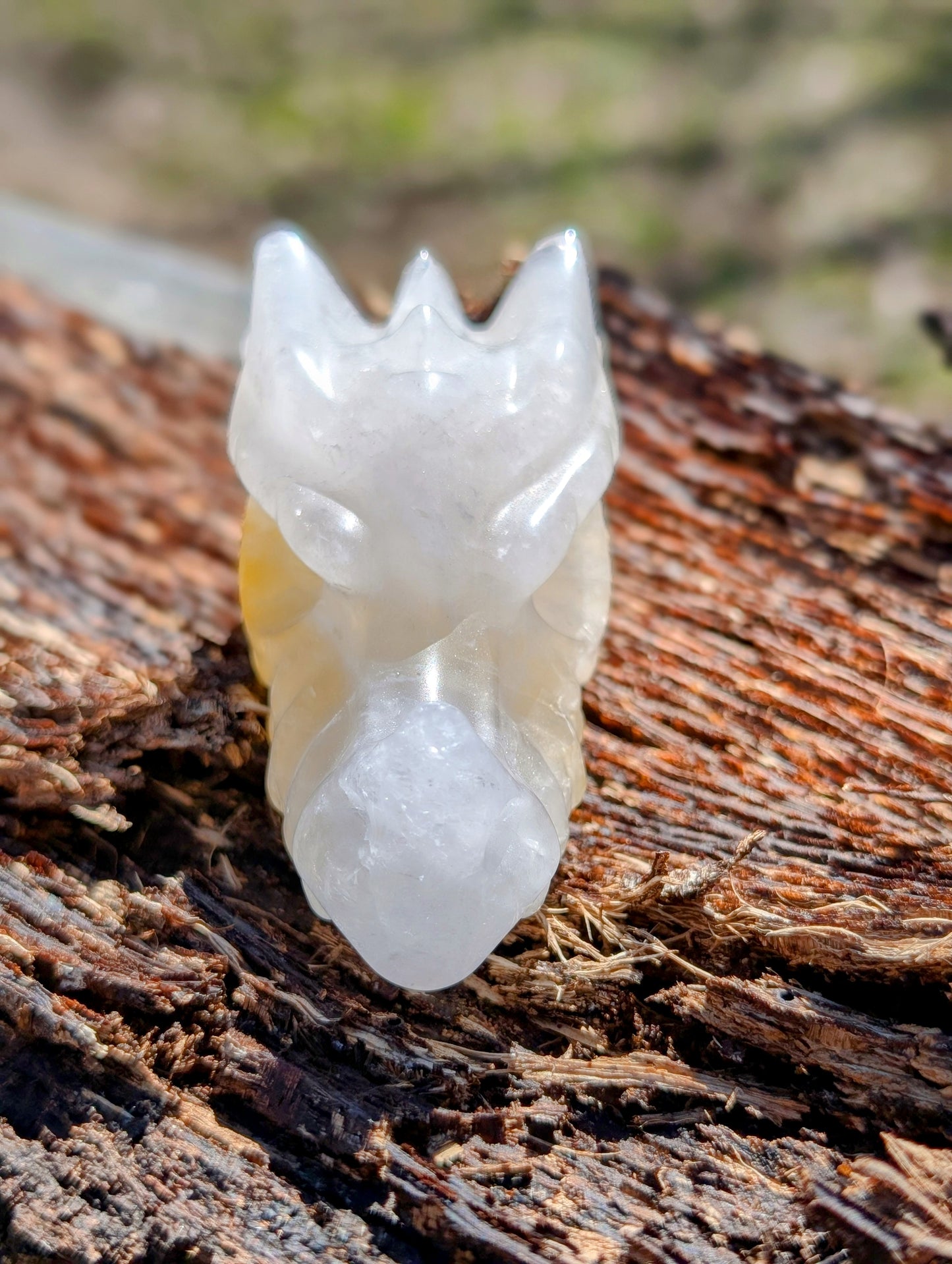 Golden Healer Quartz Dragon Head Carving