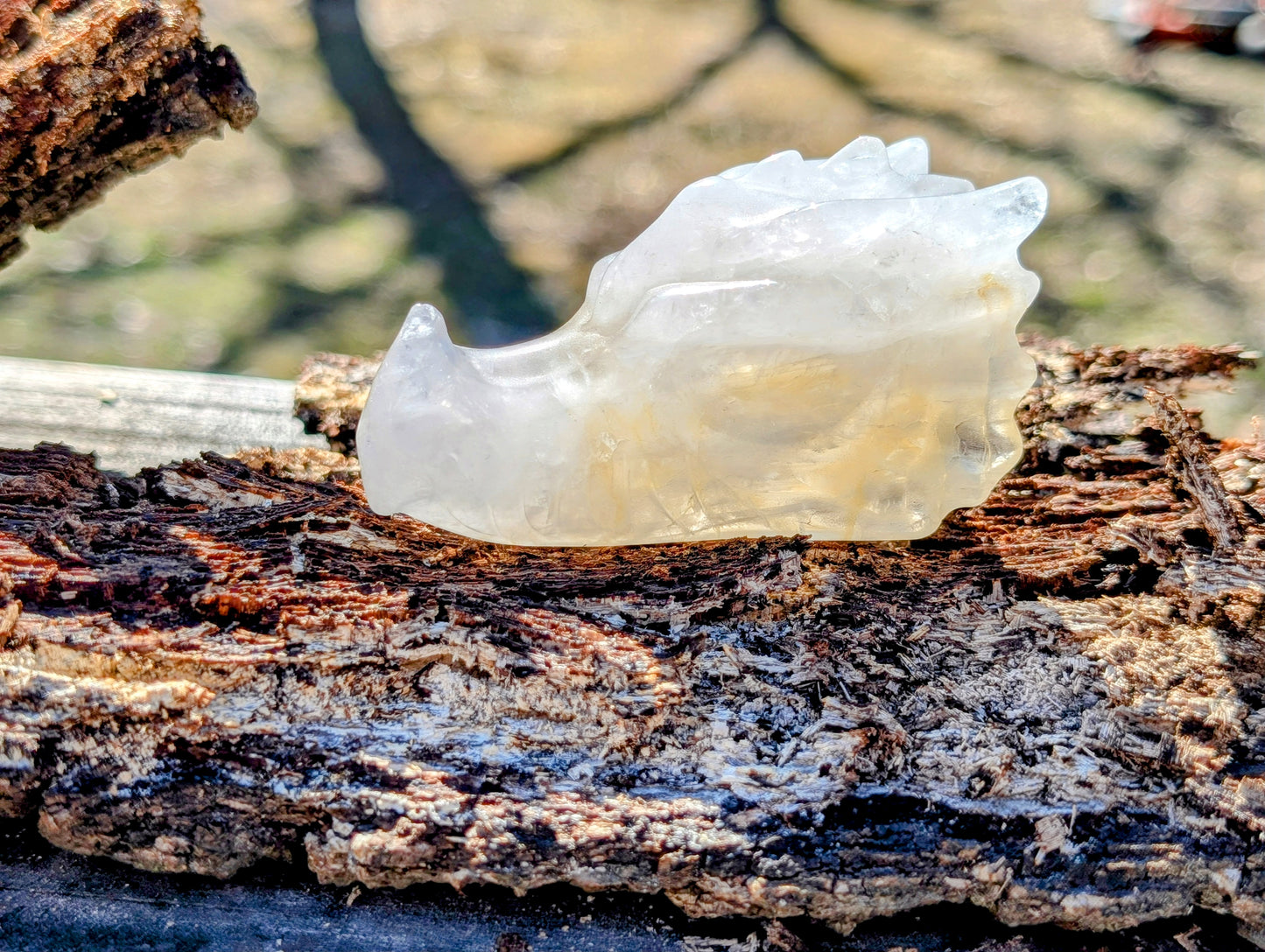 Golden Healer Quartz Dragon Head Carving