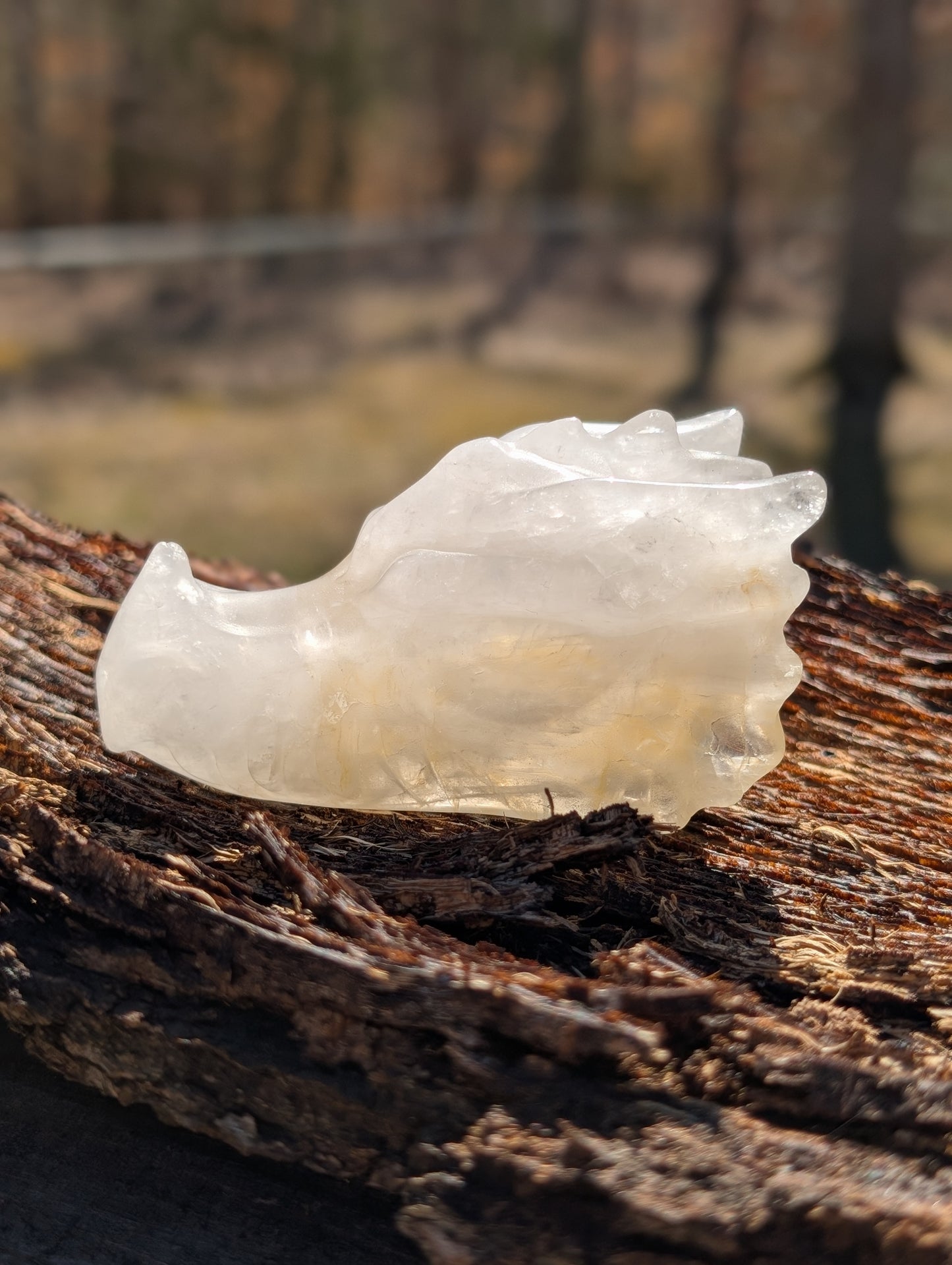 Golden Healer Quartz Dragon Head Carving