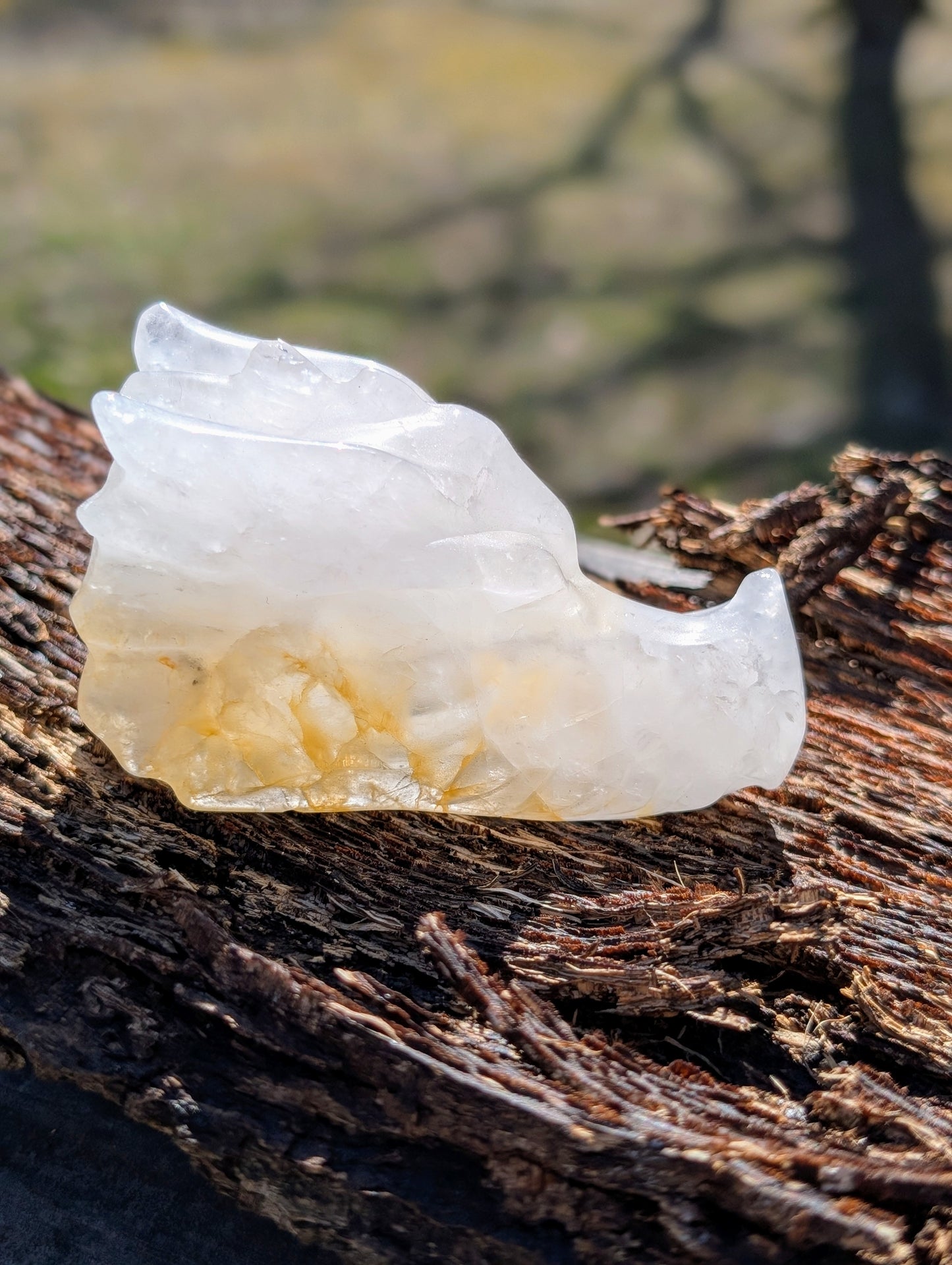 Golden Healer Quartz Dragon Head Carving