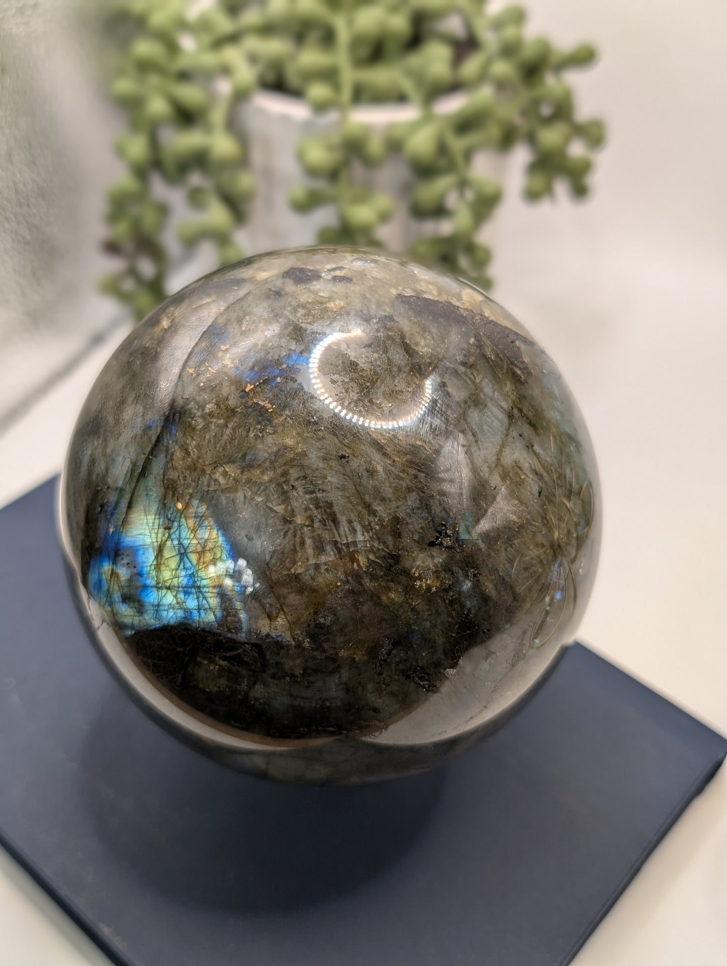 HUGE Blue & Gold Flashy Labradorite Sphere