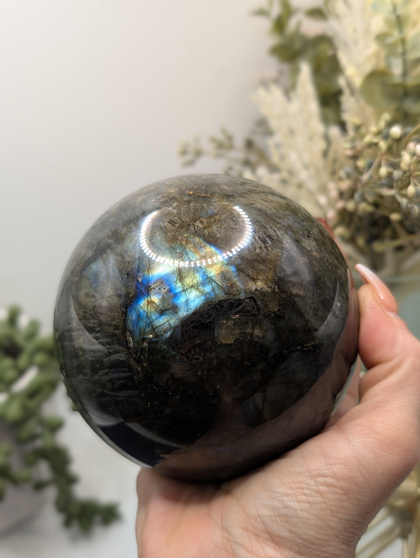 HUGE Blue & Gold Flashy Labradorite Sphere