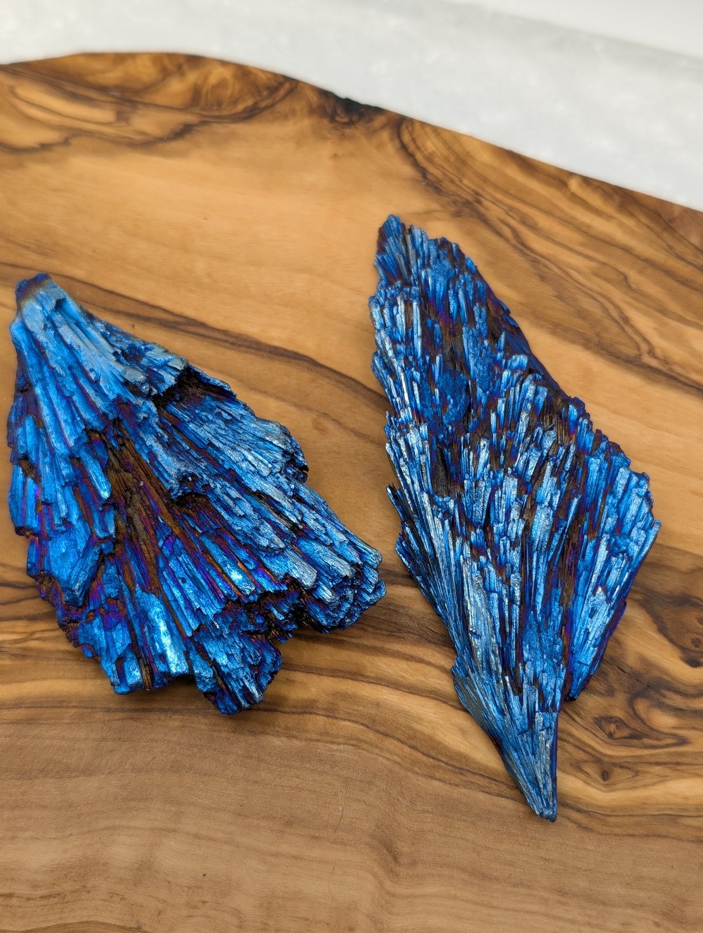 Blue Aura Kyanite Feathers - Large