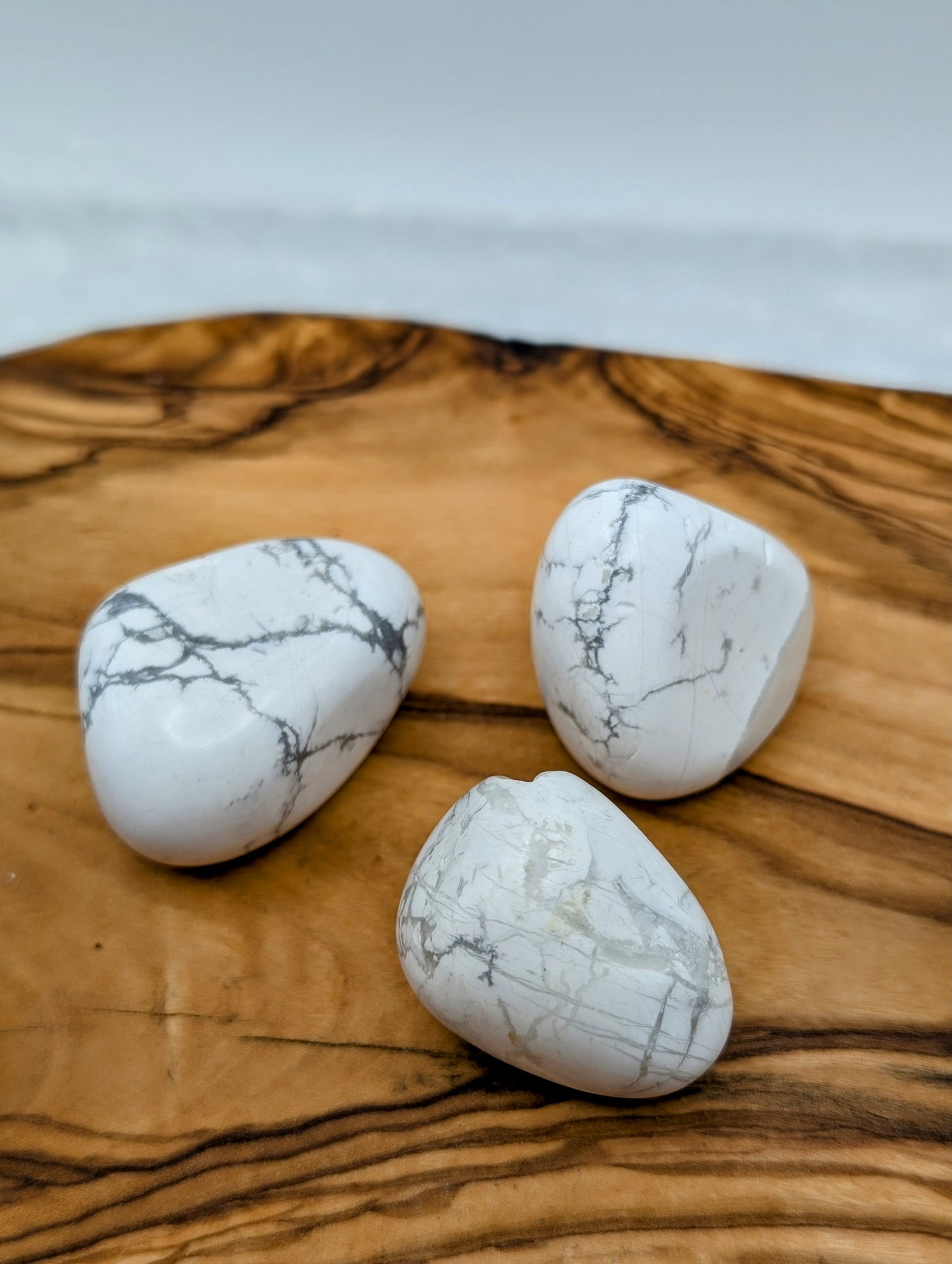 Large Howlite Tumbles