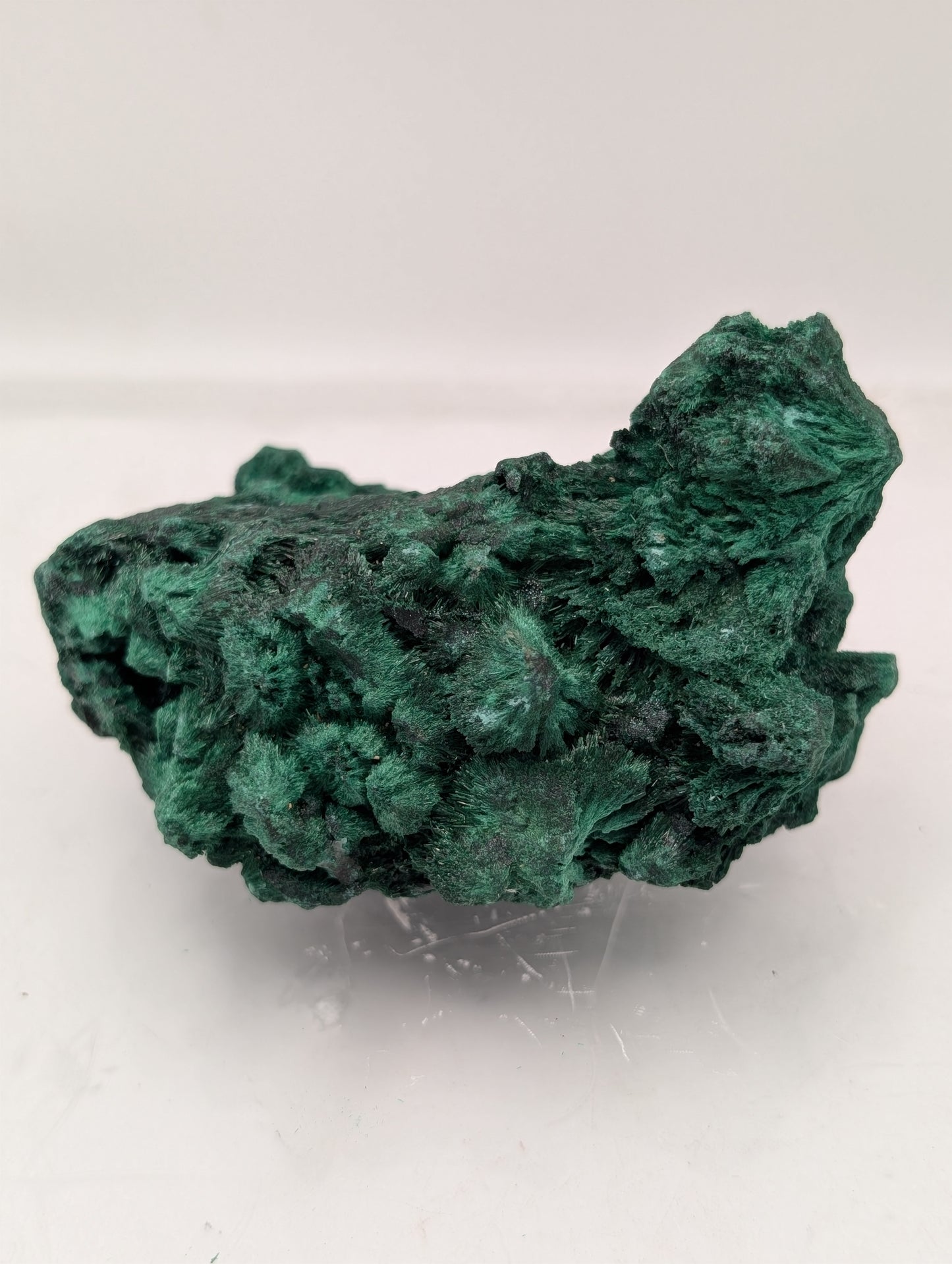 Velvet Malachite
