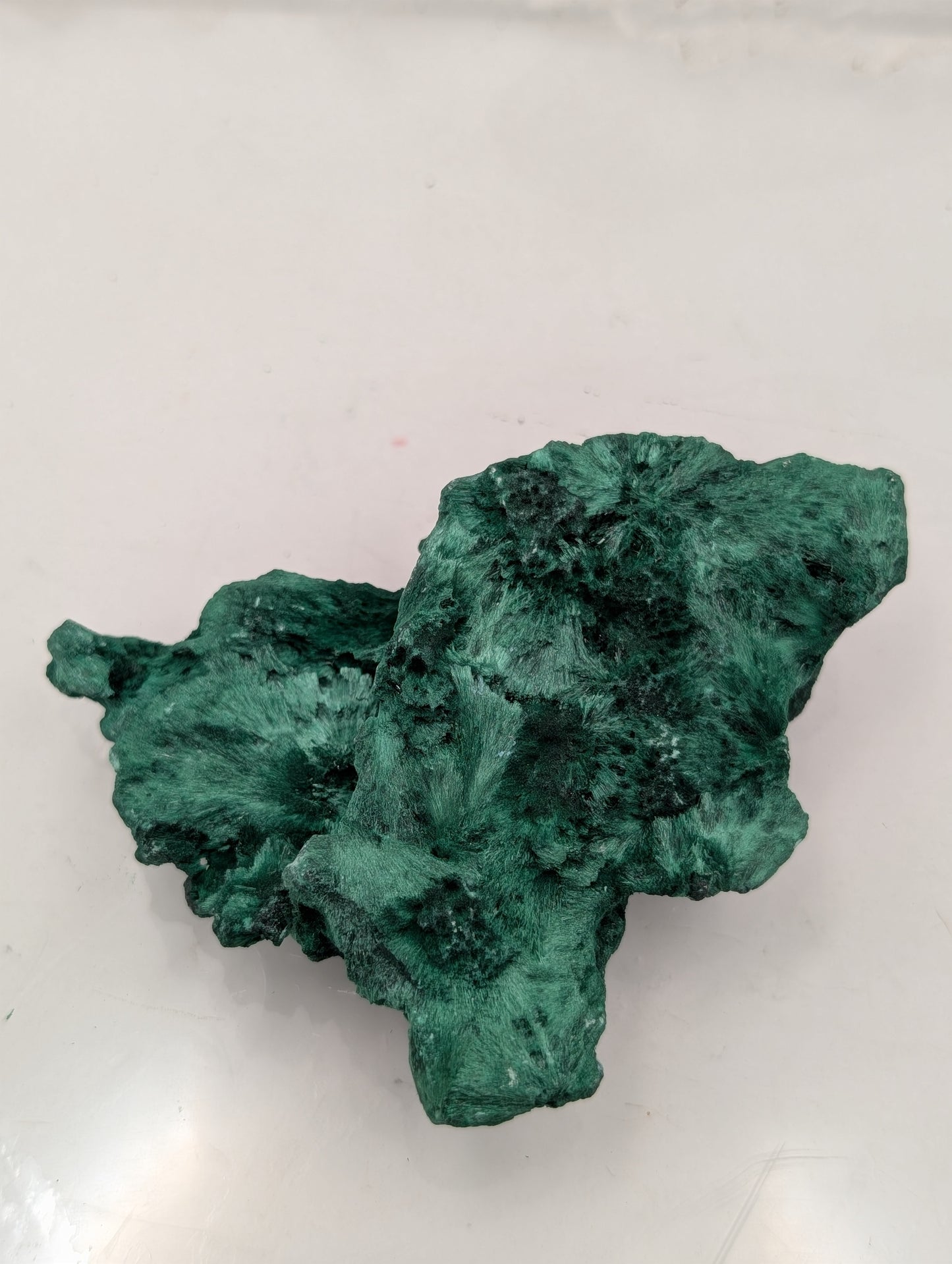 Velvet Malachite