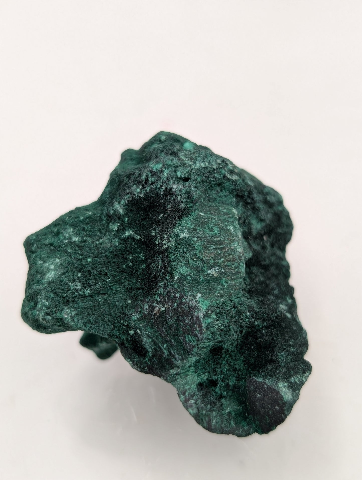 Velvet Malachite