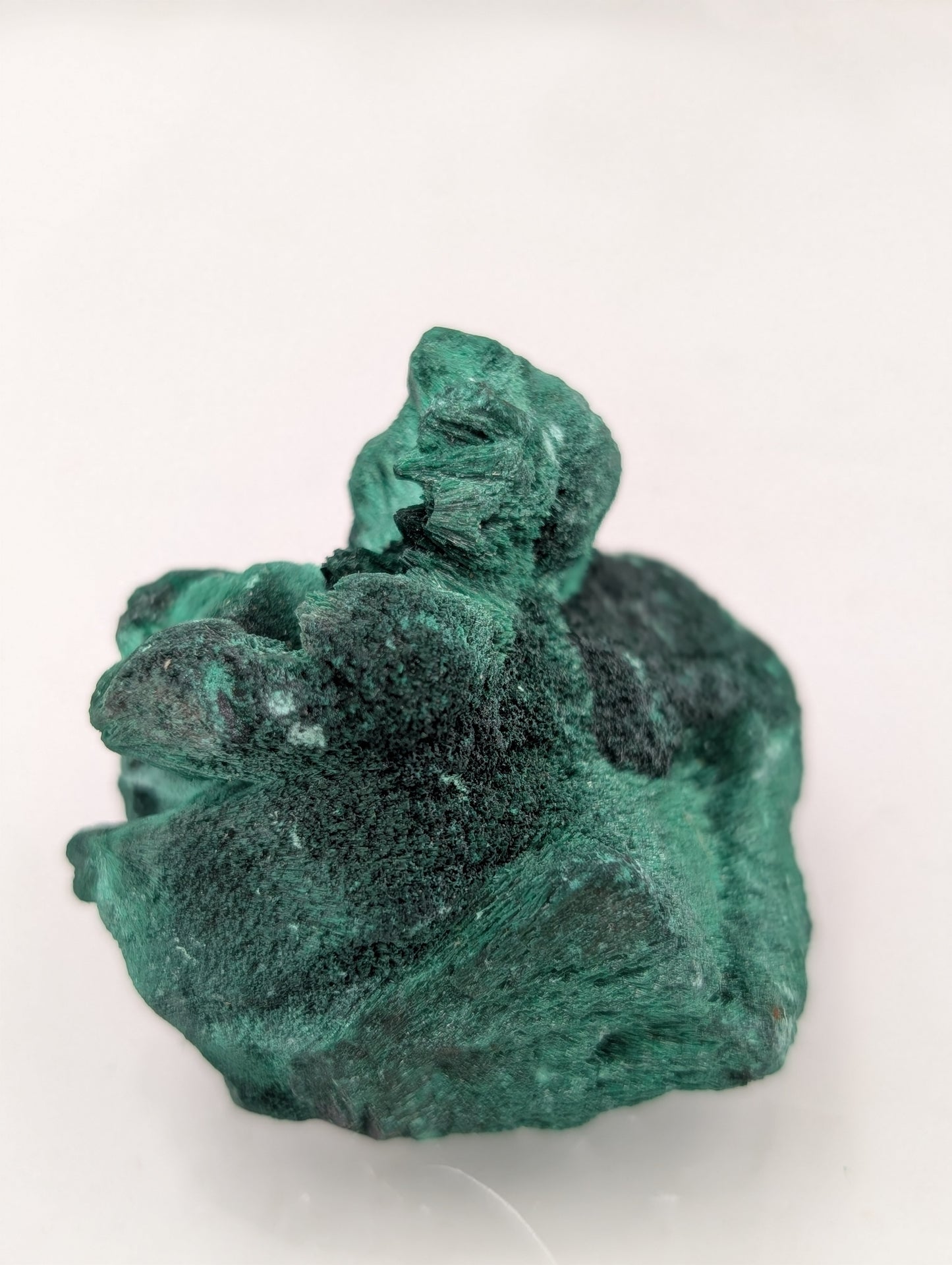 Velvet Malachite