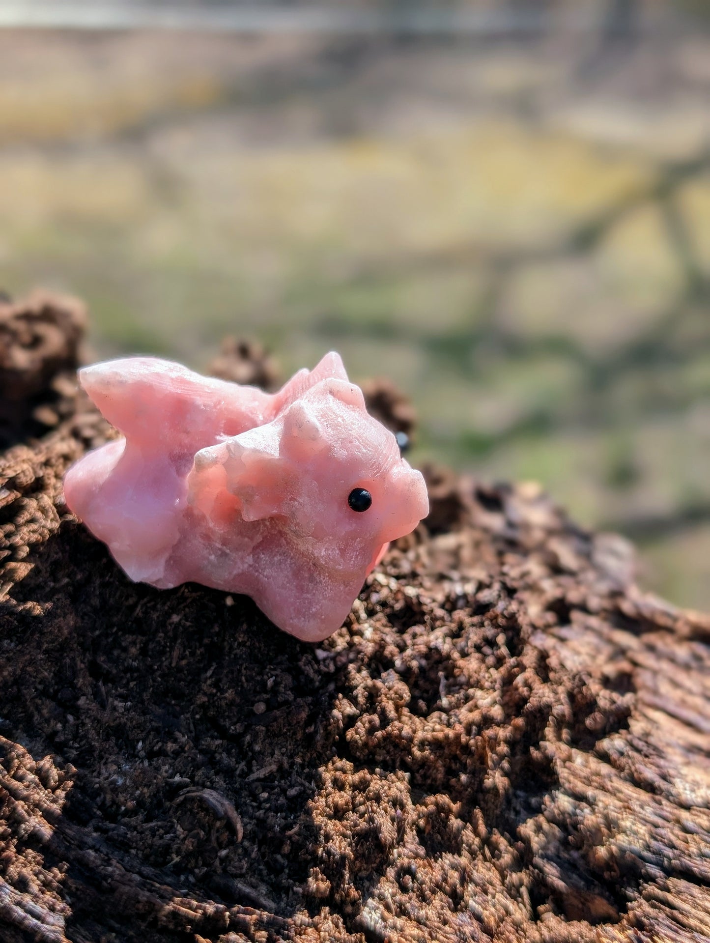 Baby Dragon Crystal Figurines
